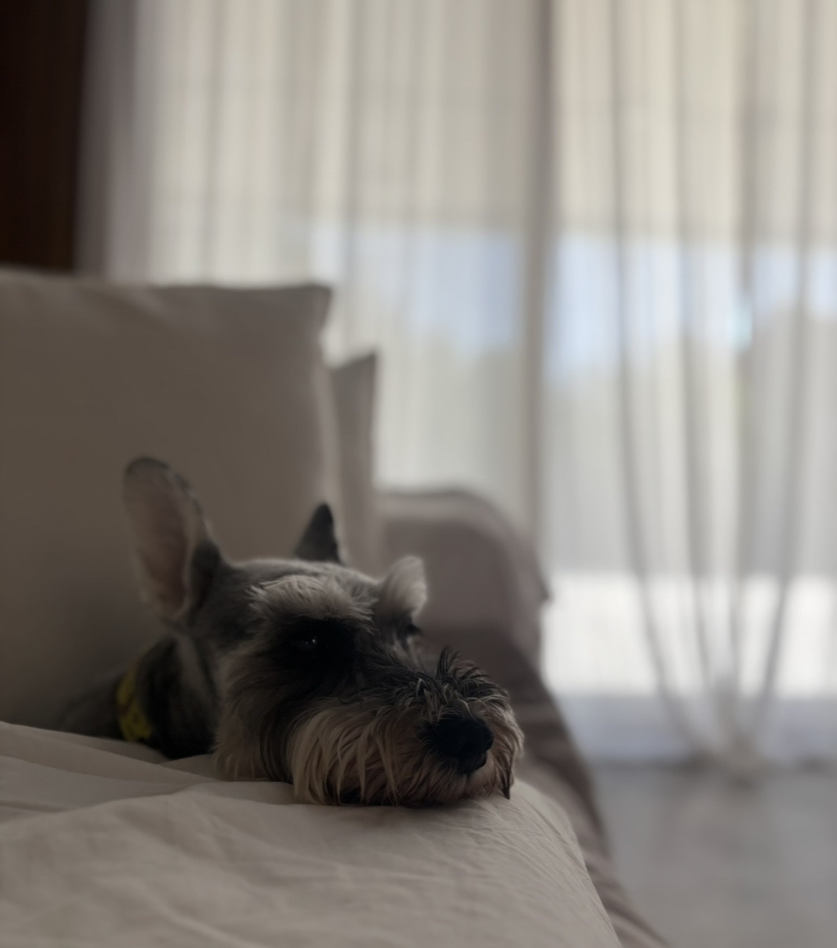 image-8