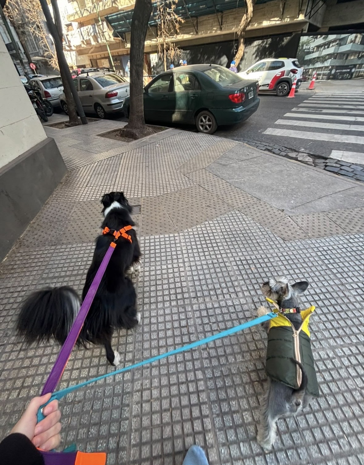 image-5