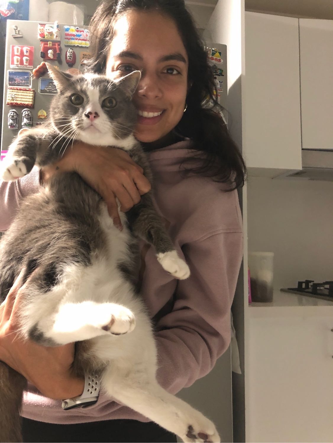 image-14