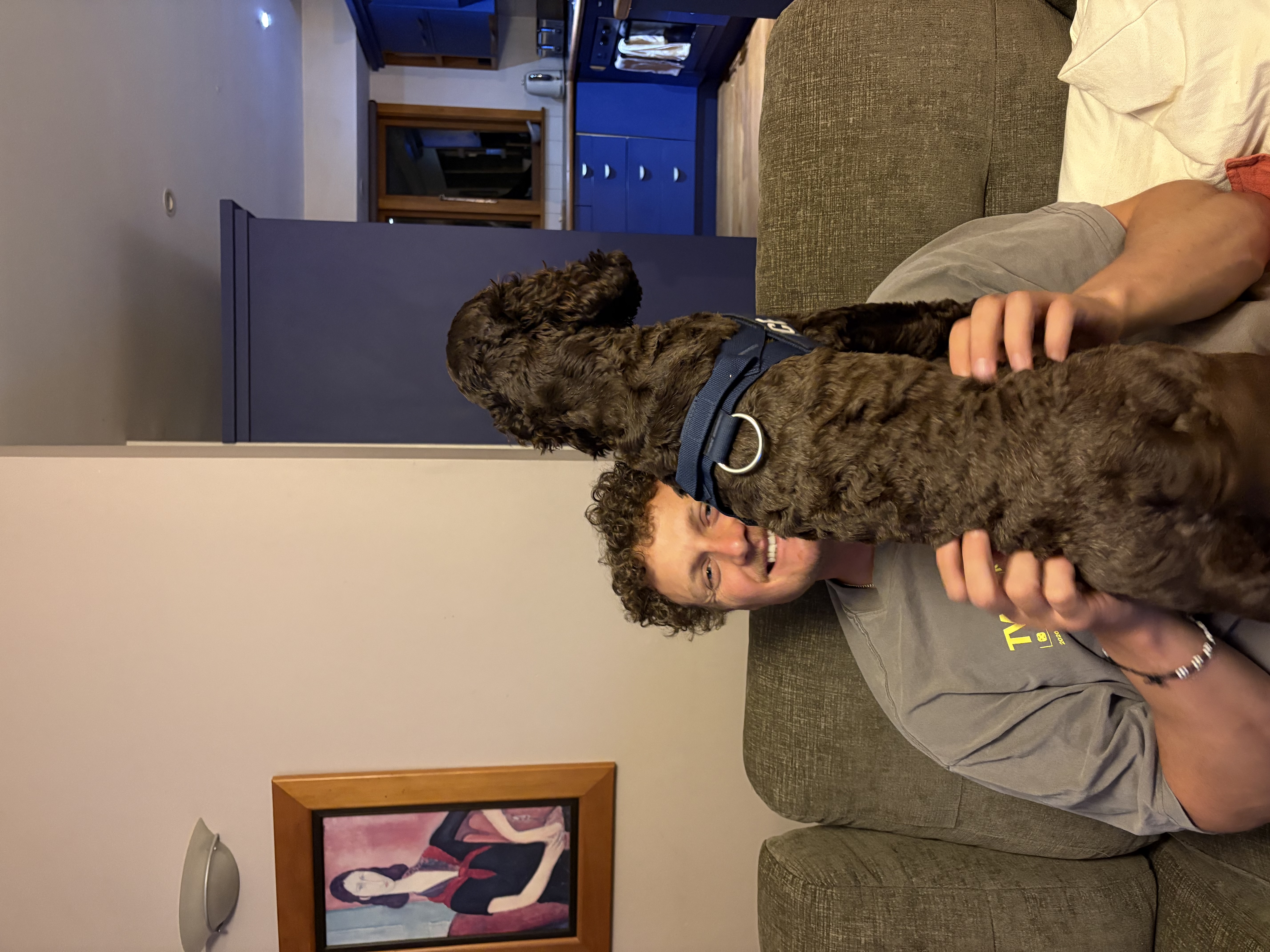 image-6