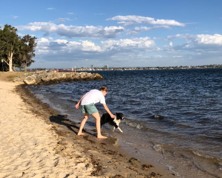 image-8