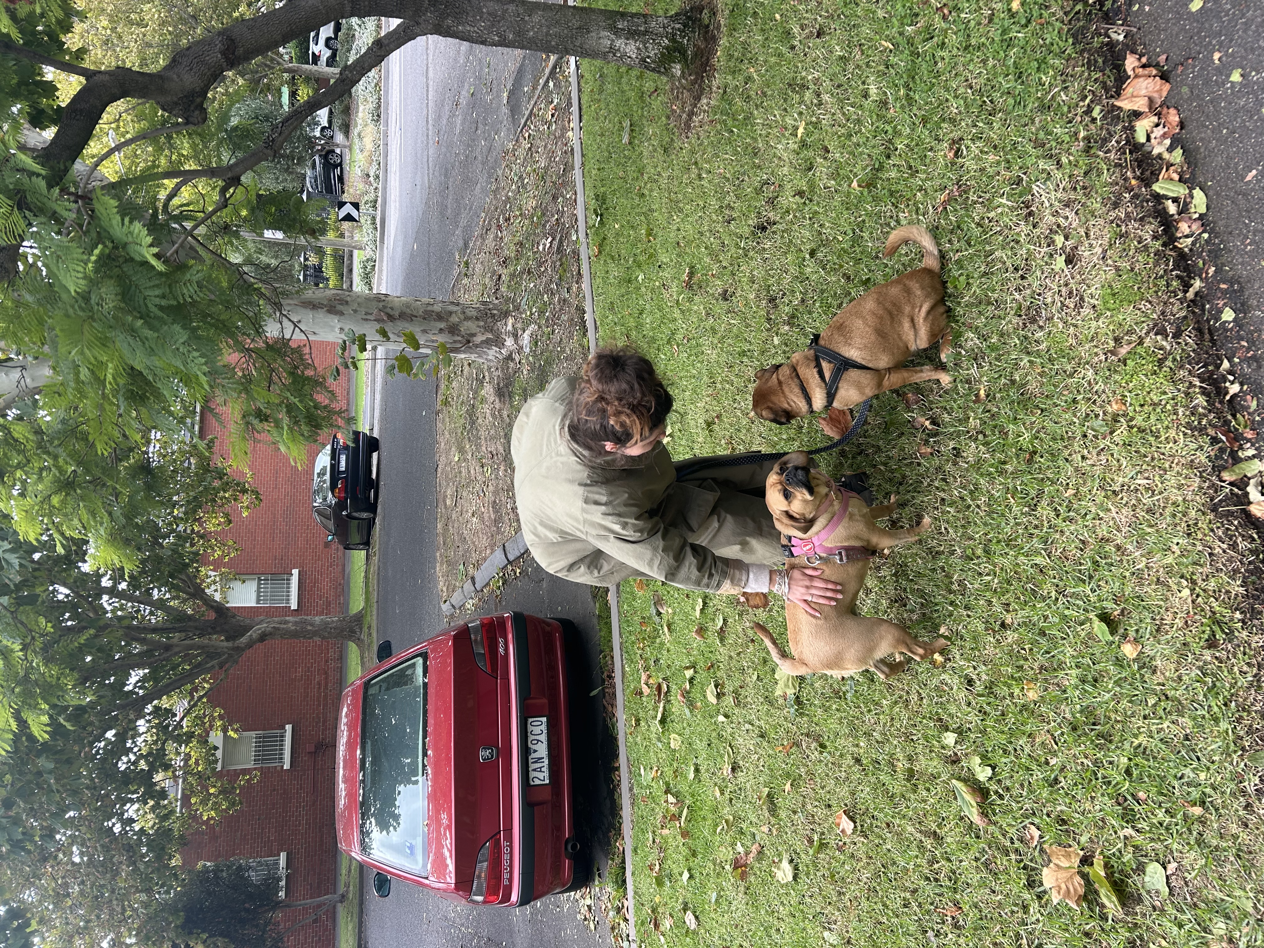image-4