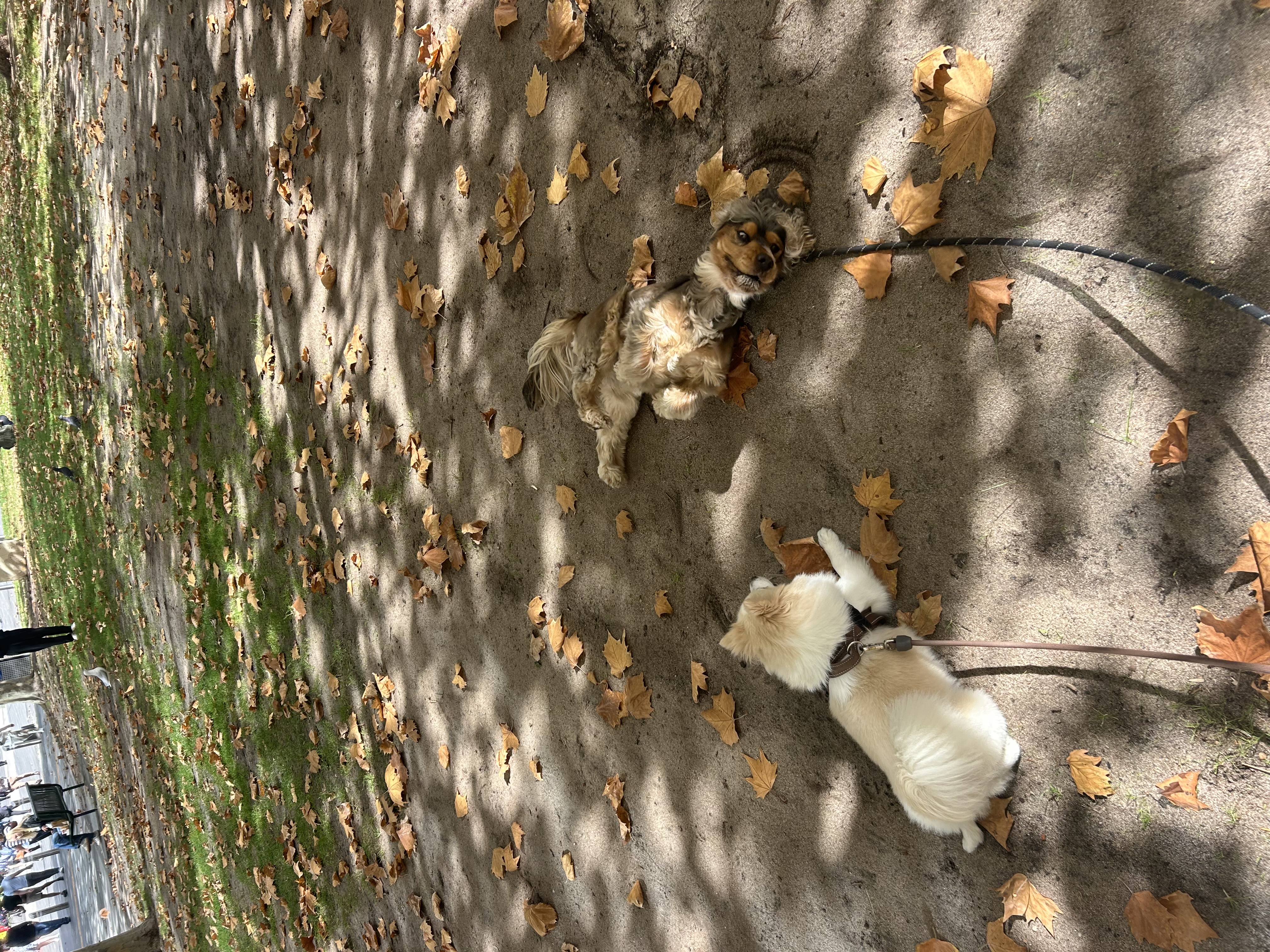 image-14