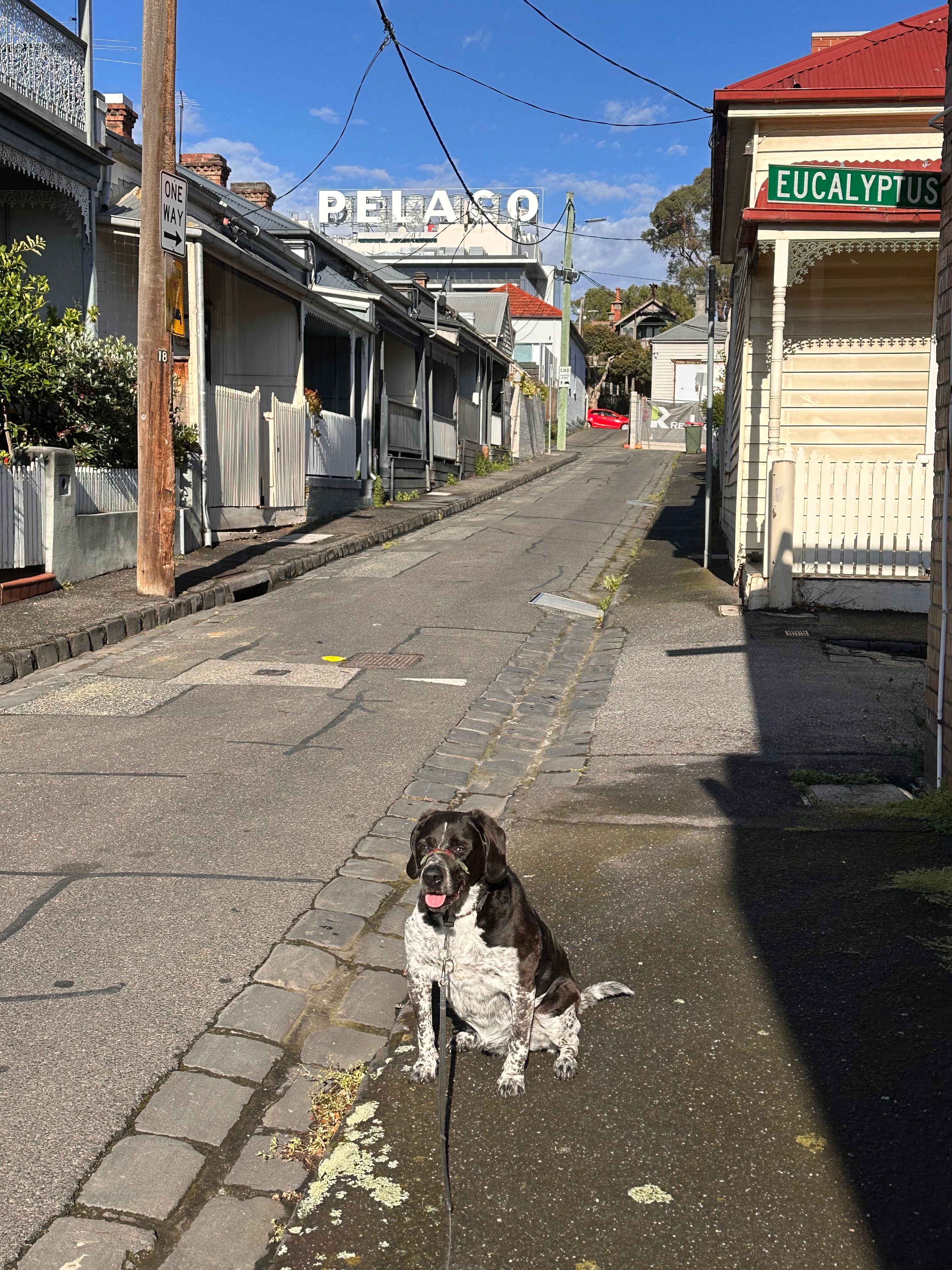 image-6