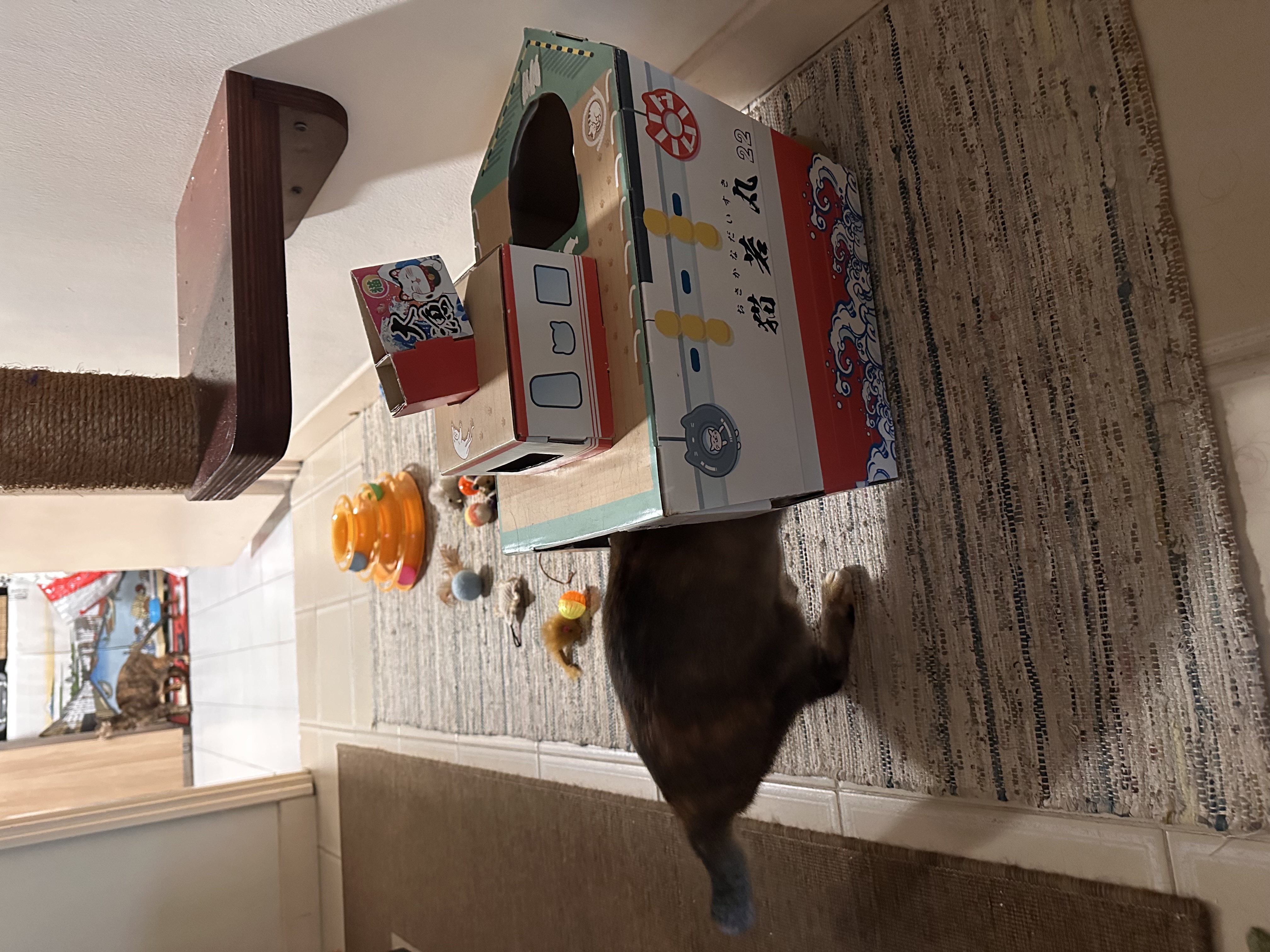 image-8