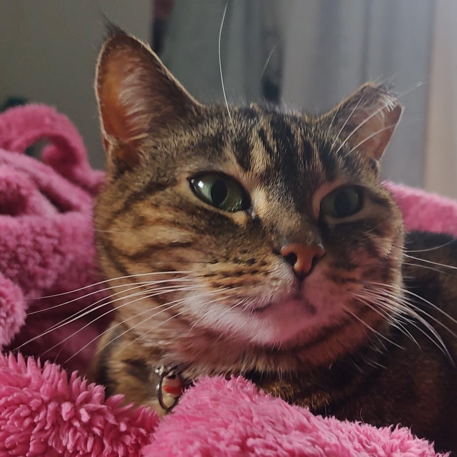 Matilda 