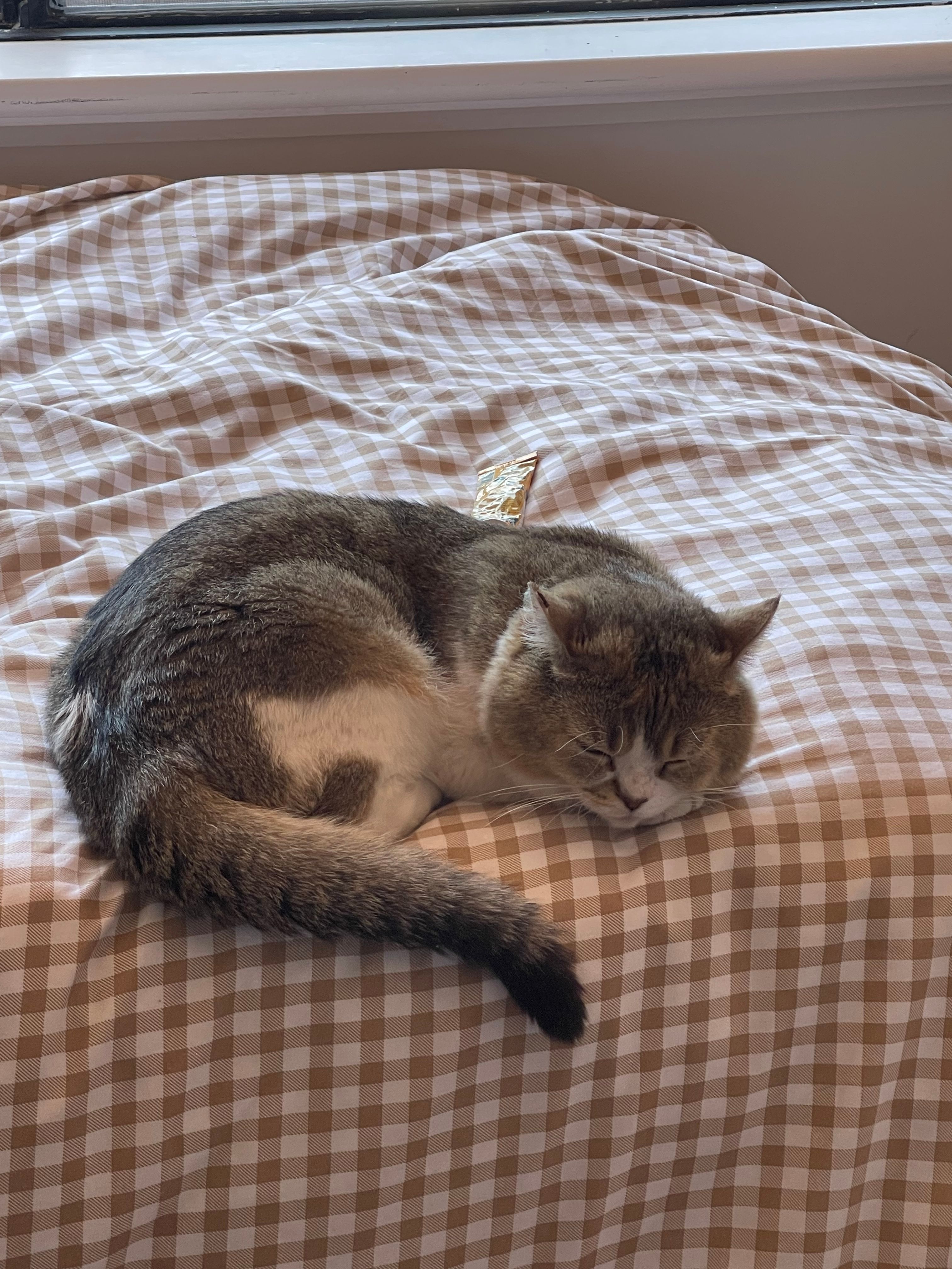 image-10