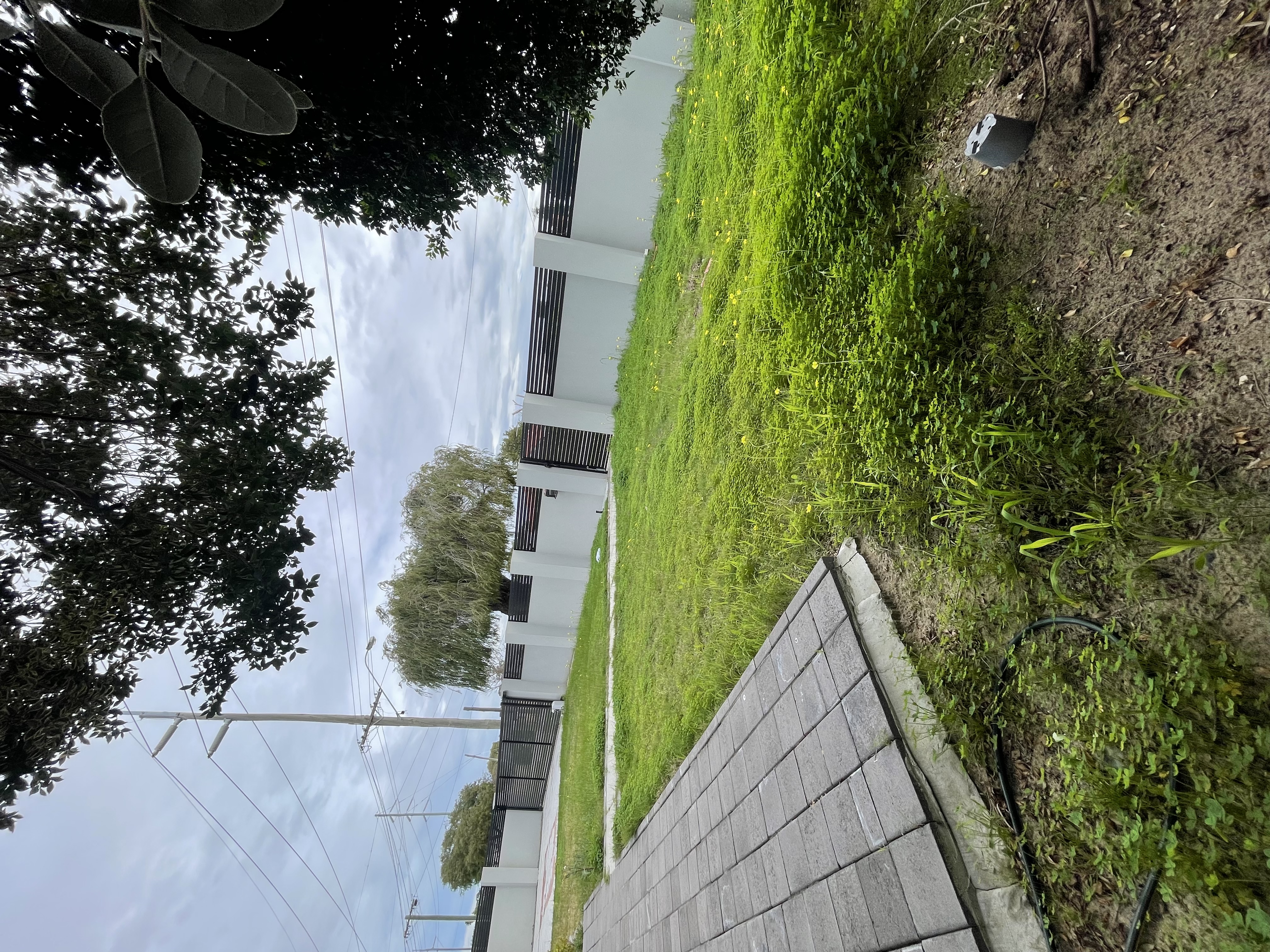image-15