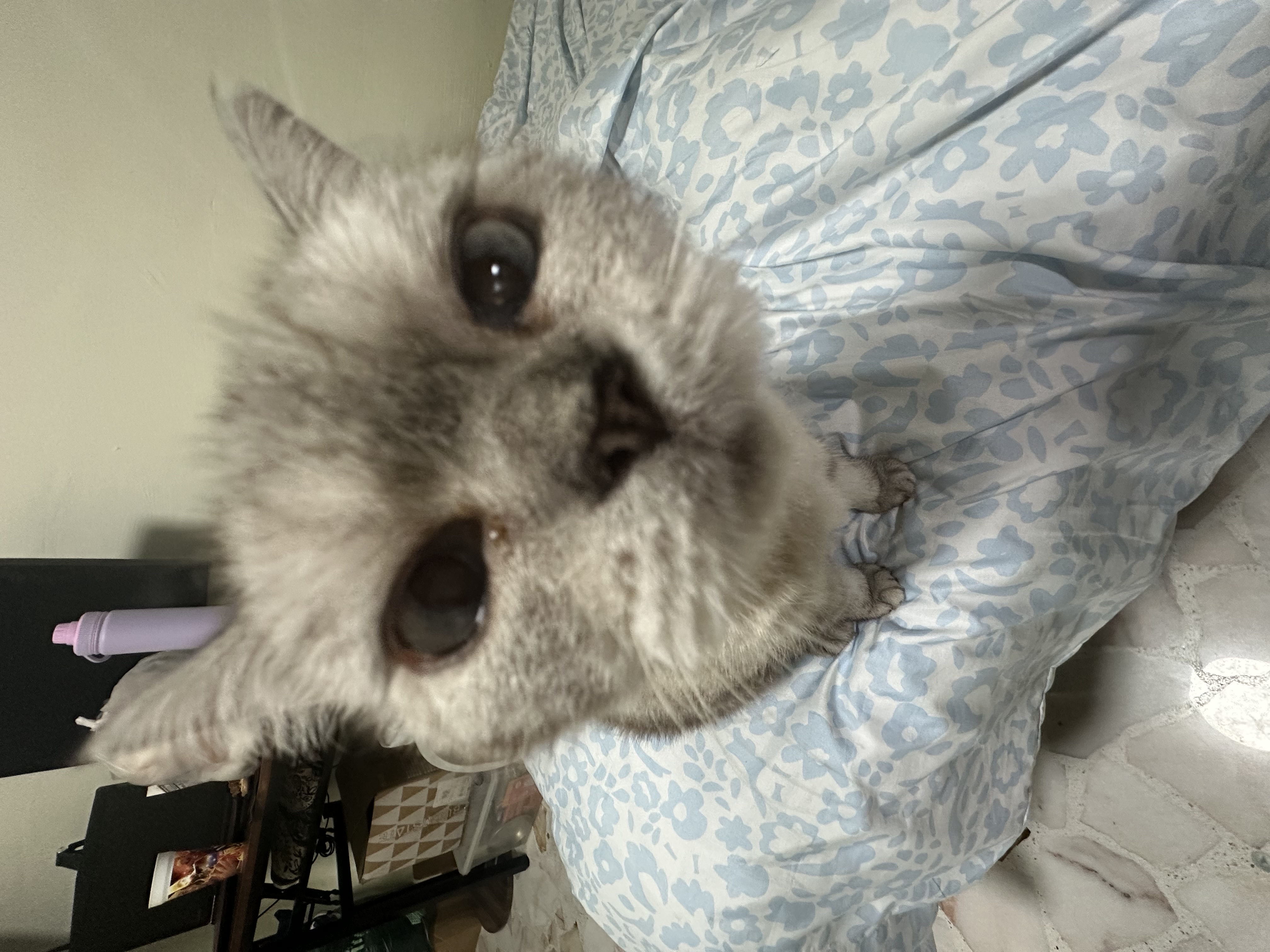 image-4