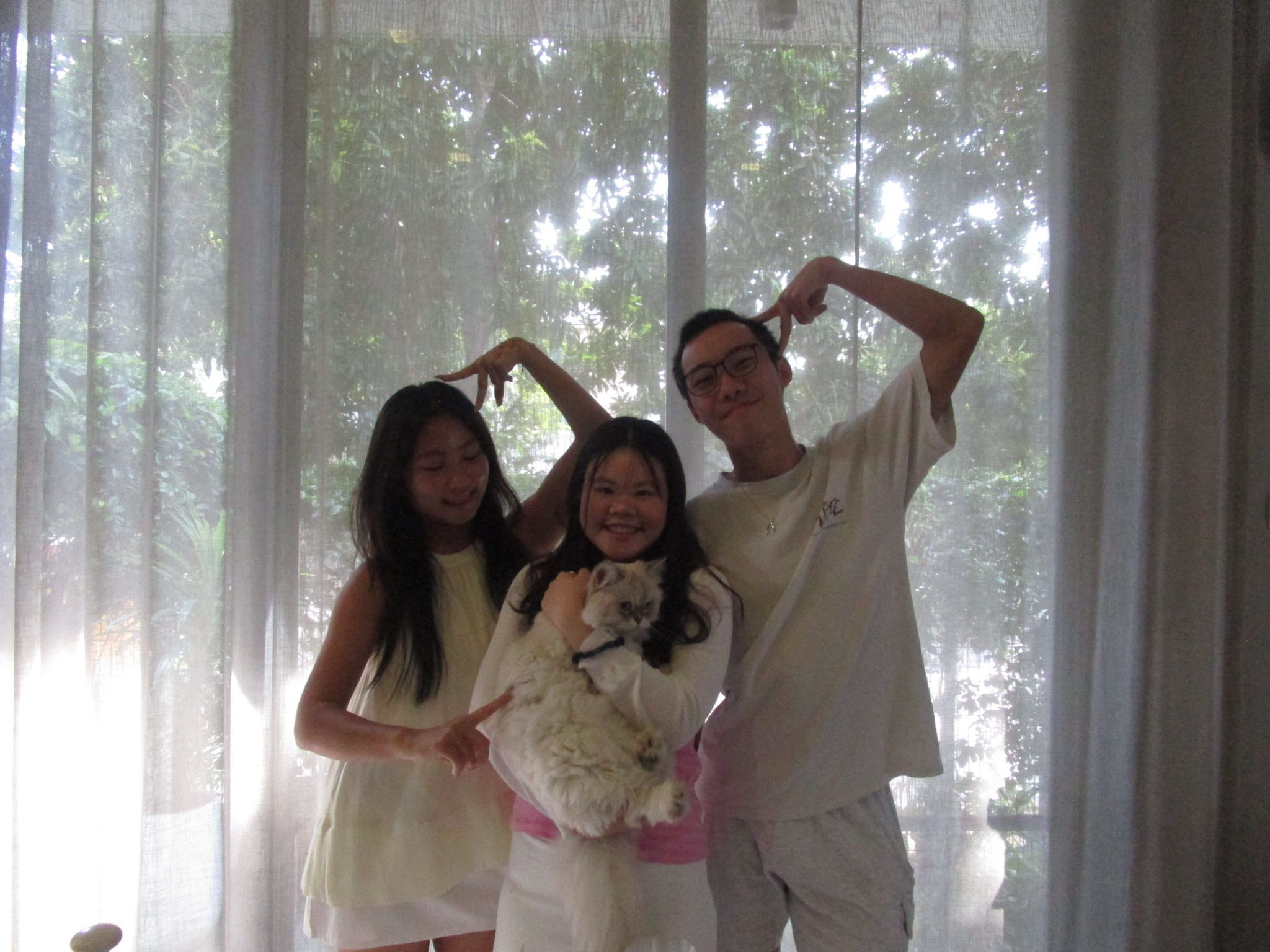 image-5