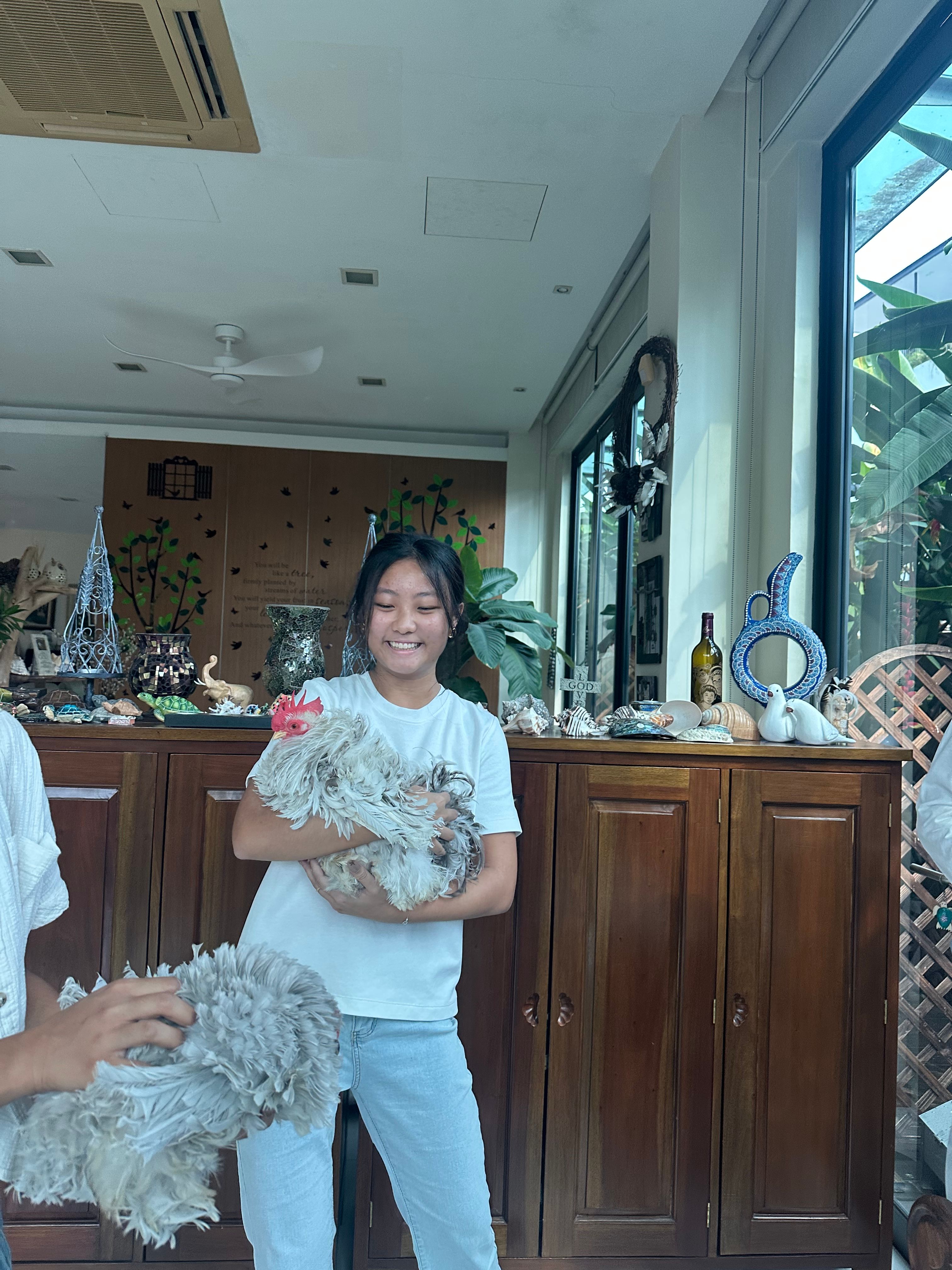 image-6