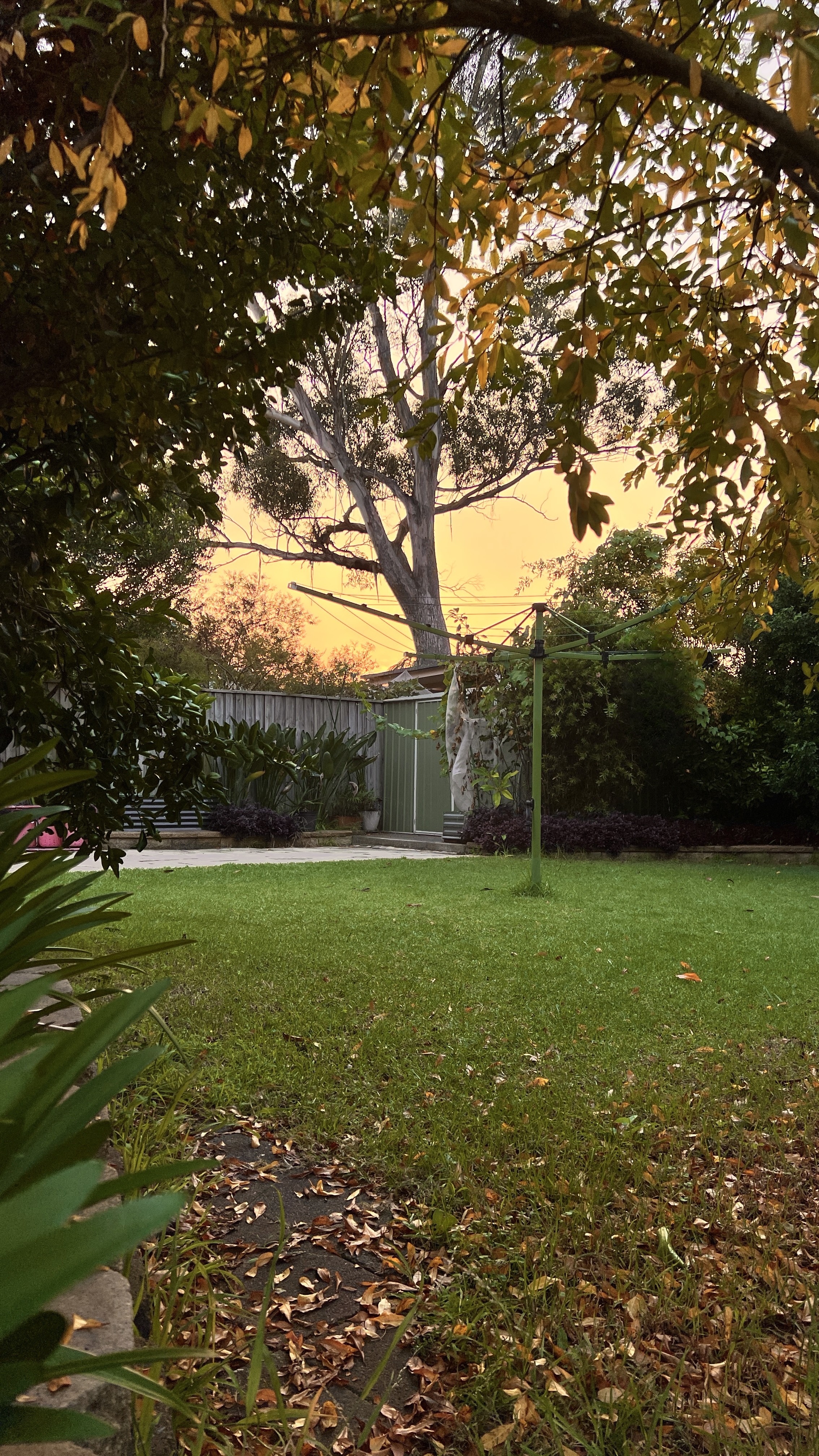 image-16