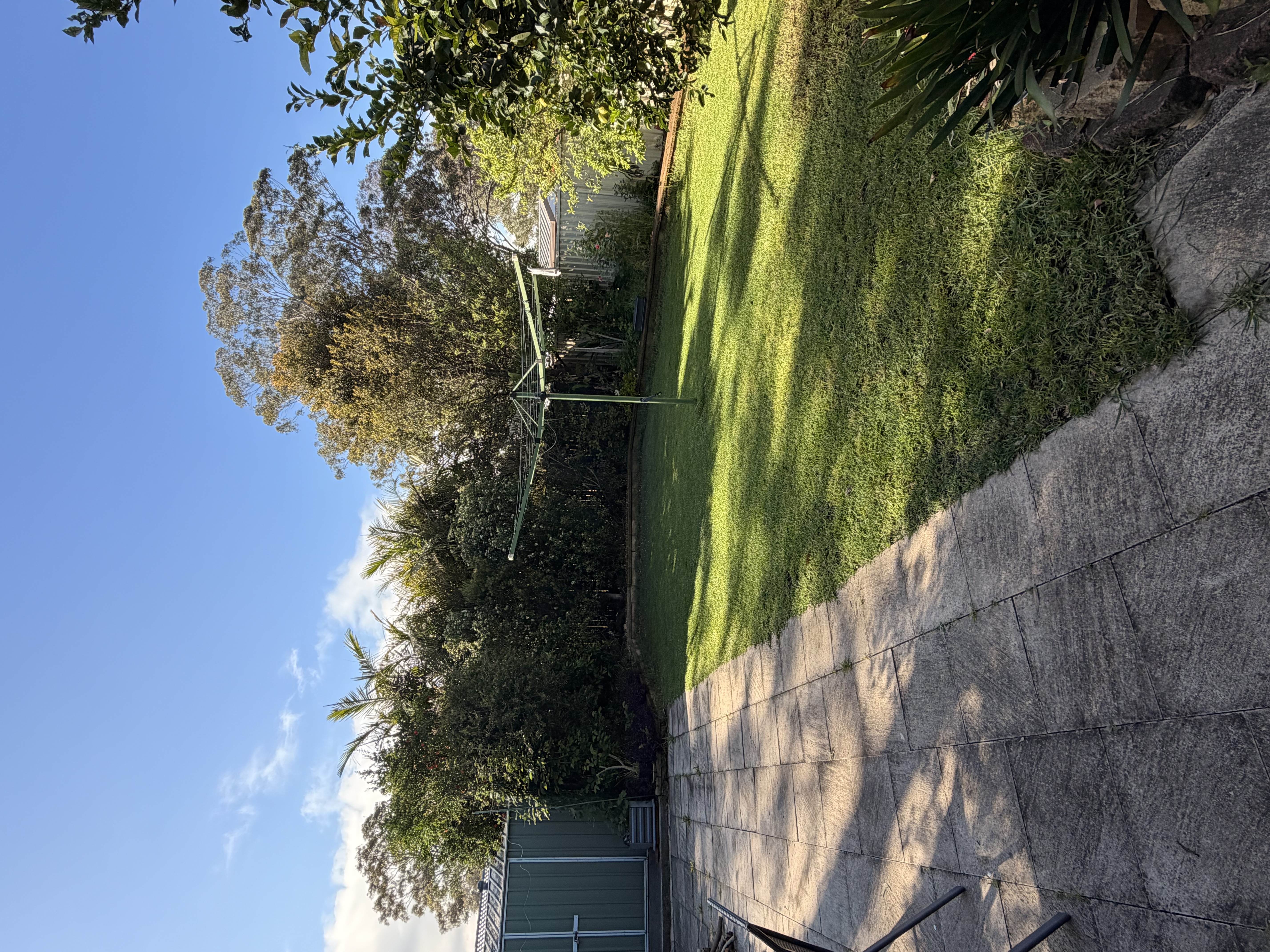 image-26