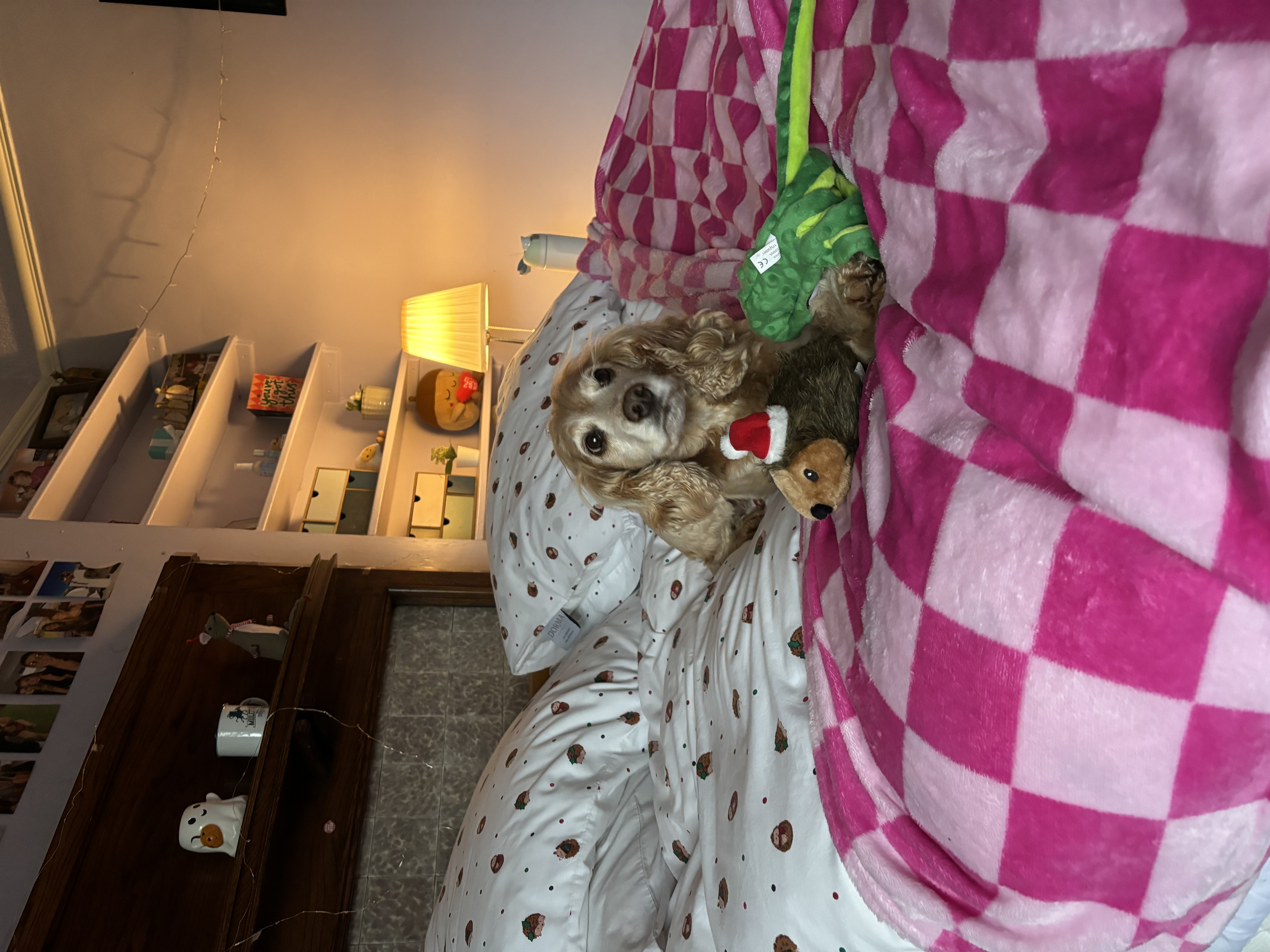 image-9