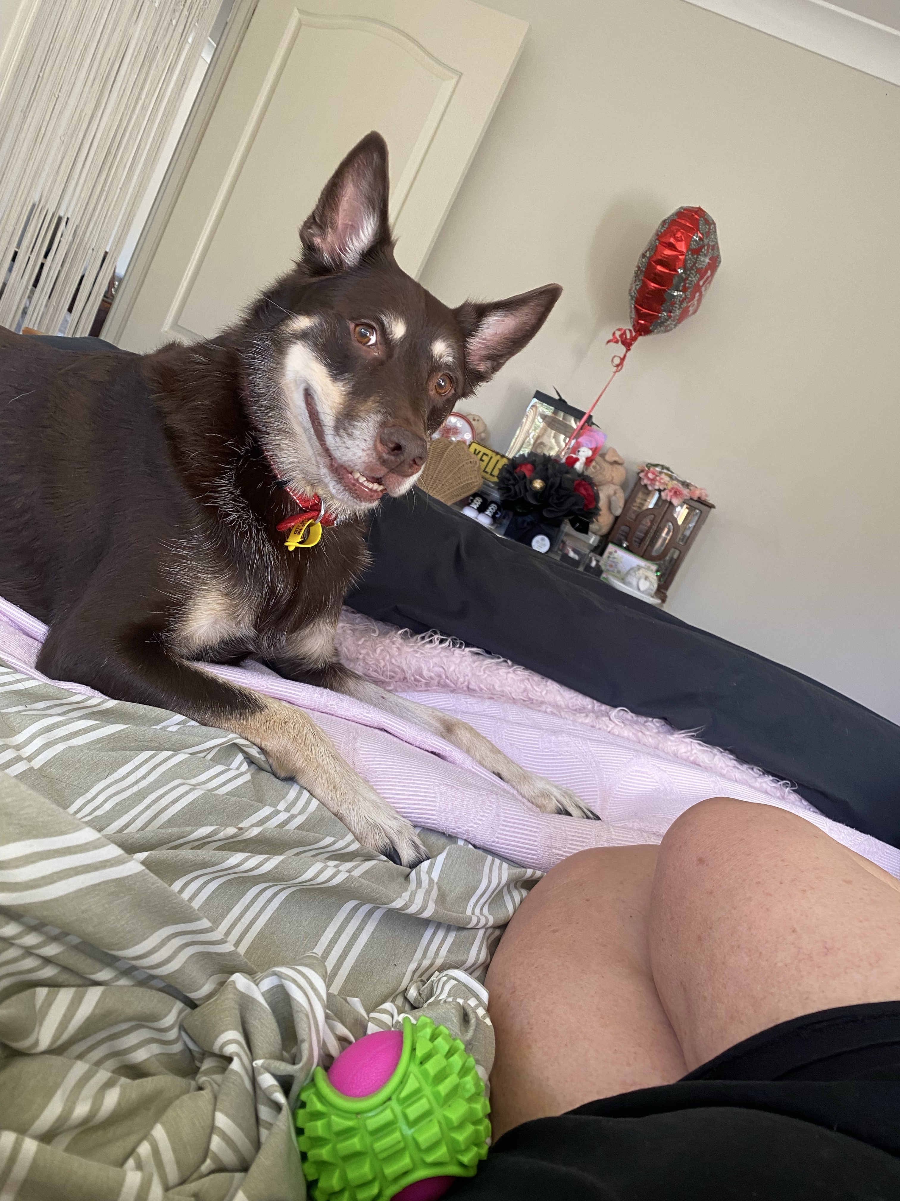 image-18