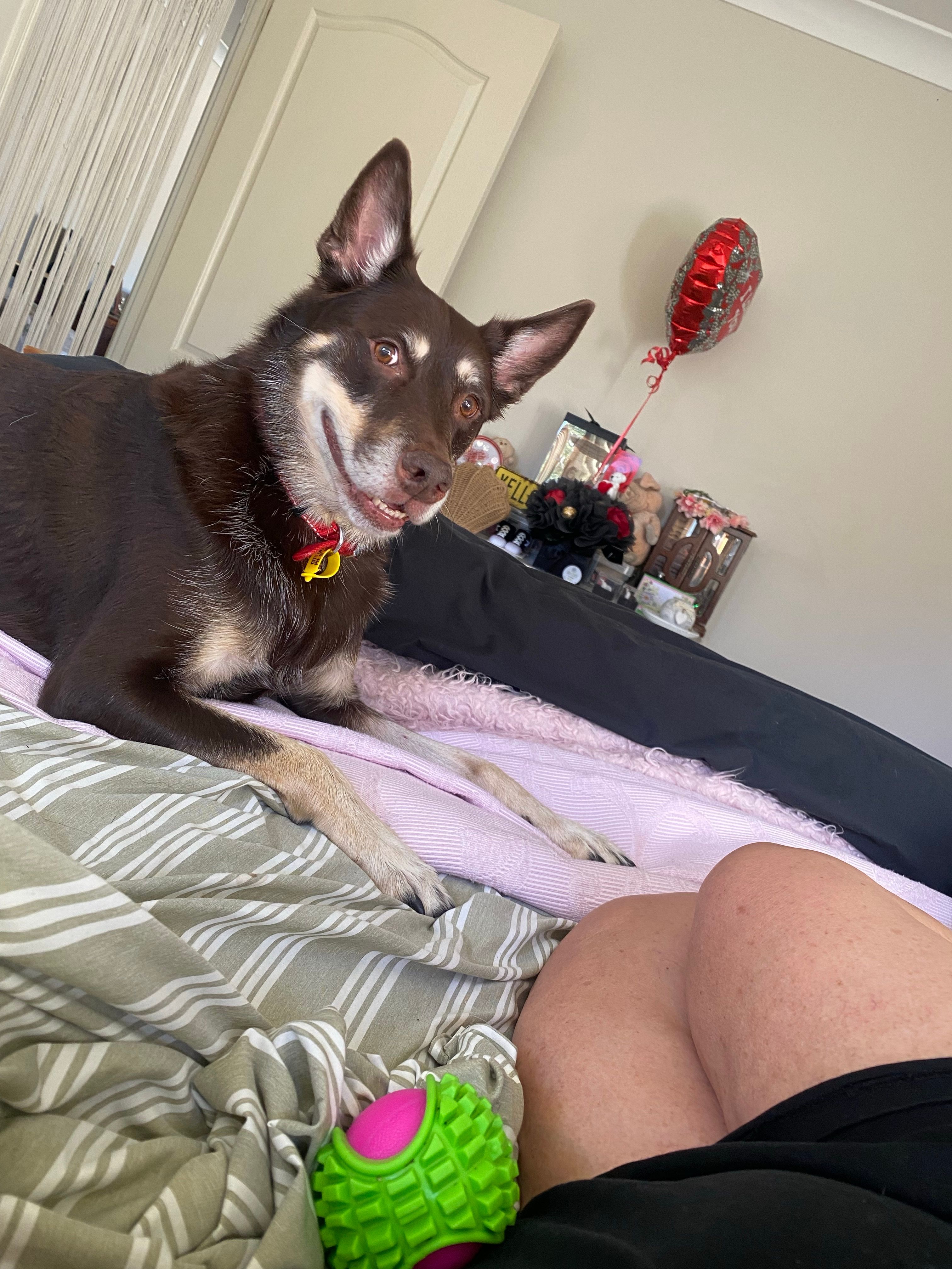 image-18