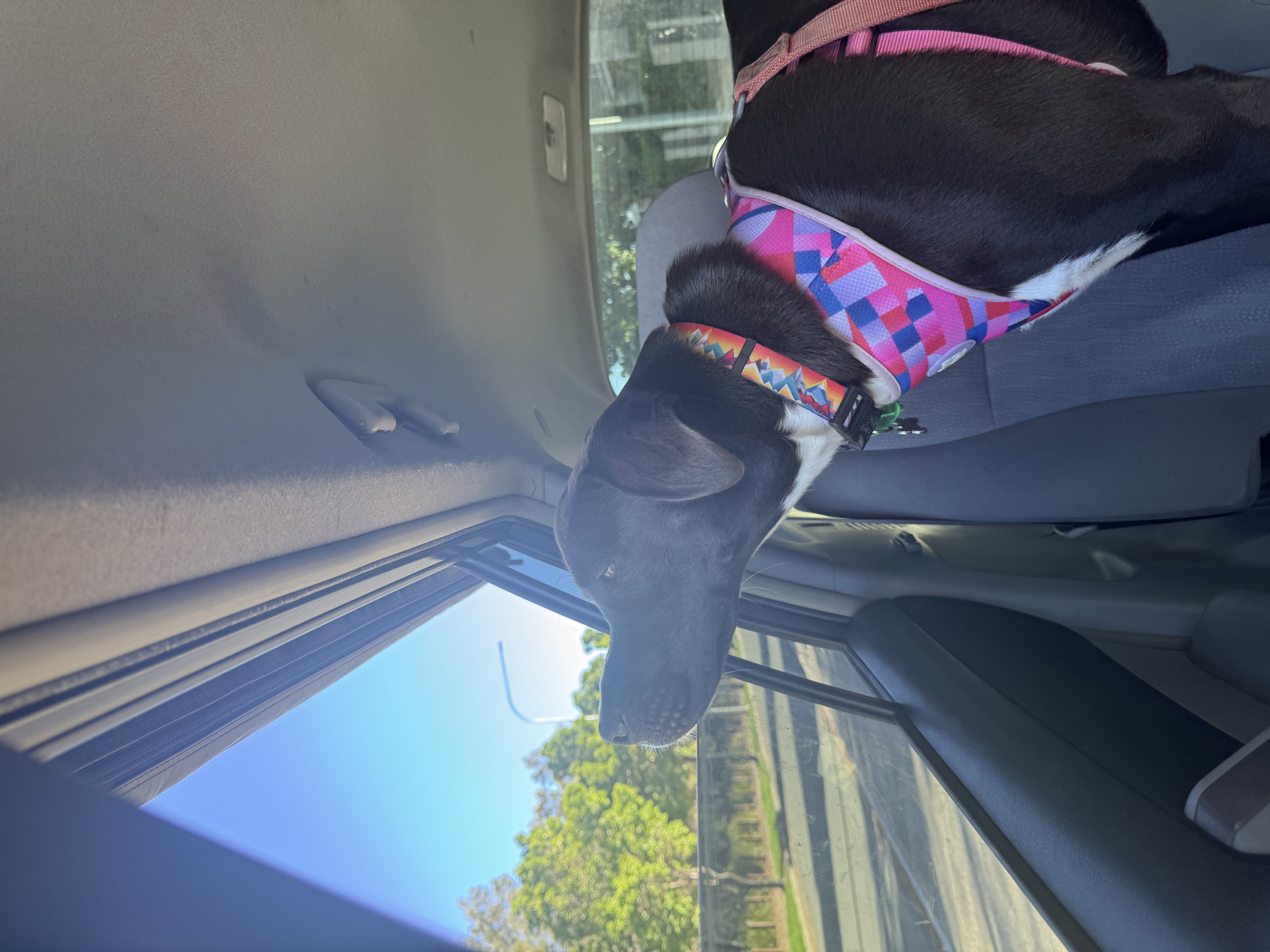 image-15