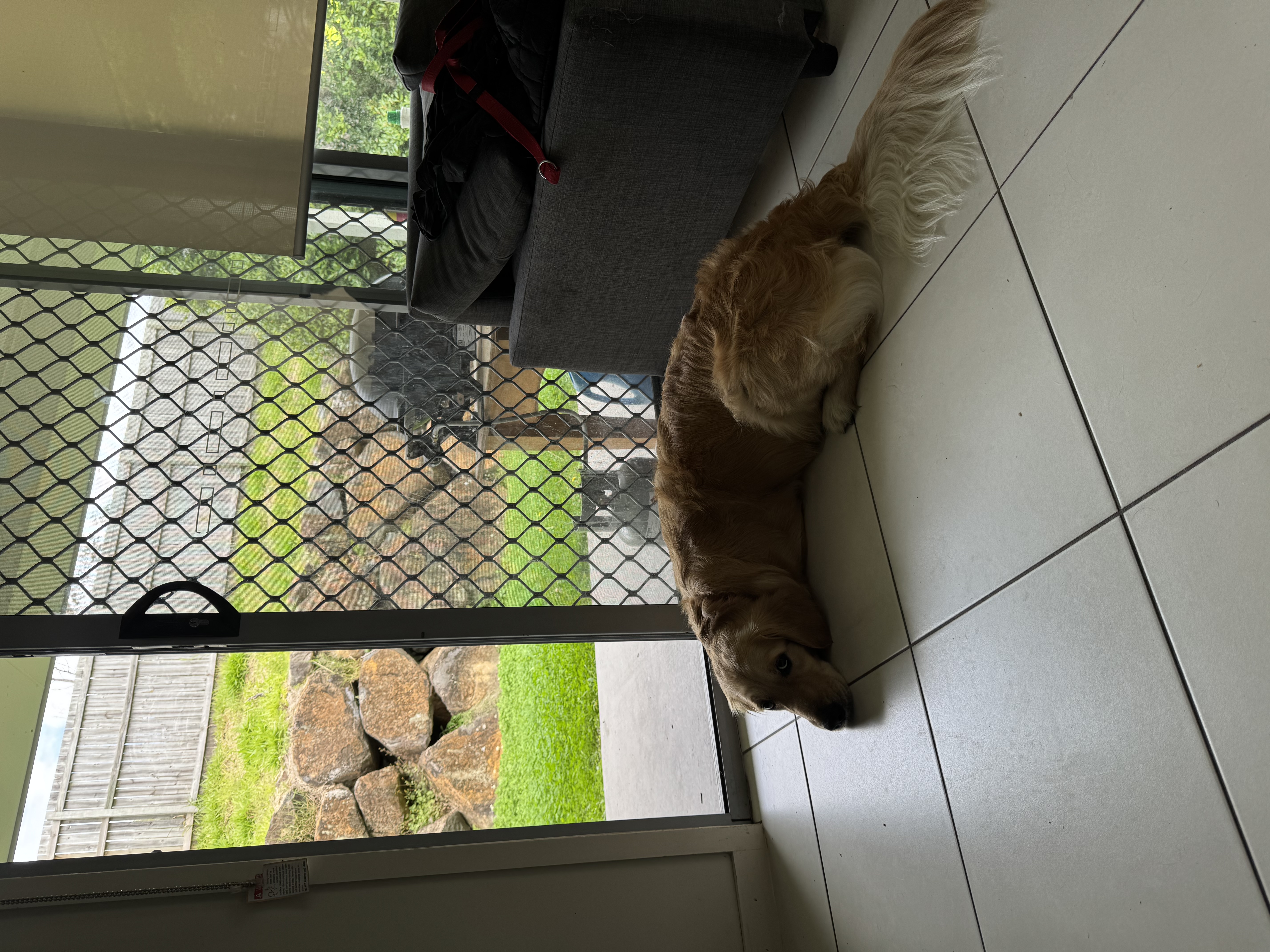 image-29