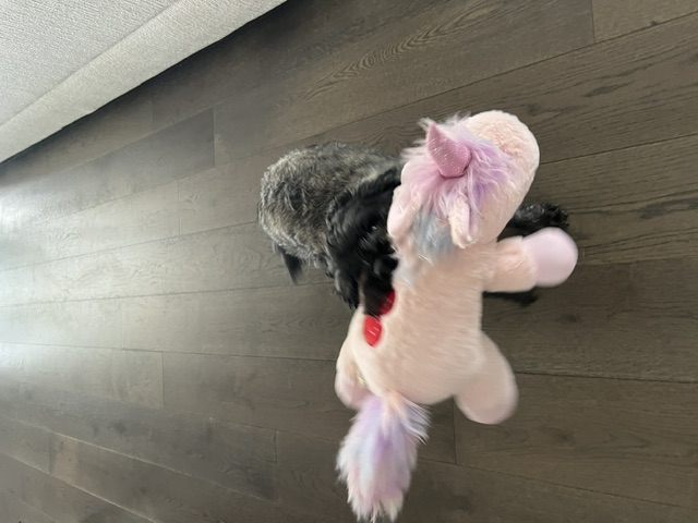 image-11