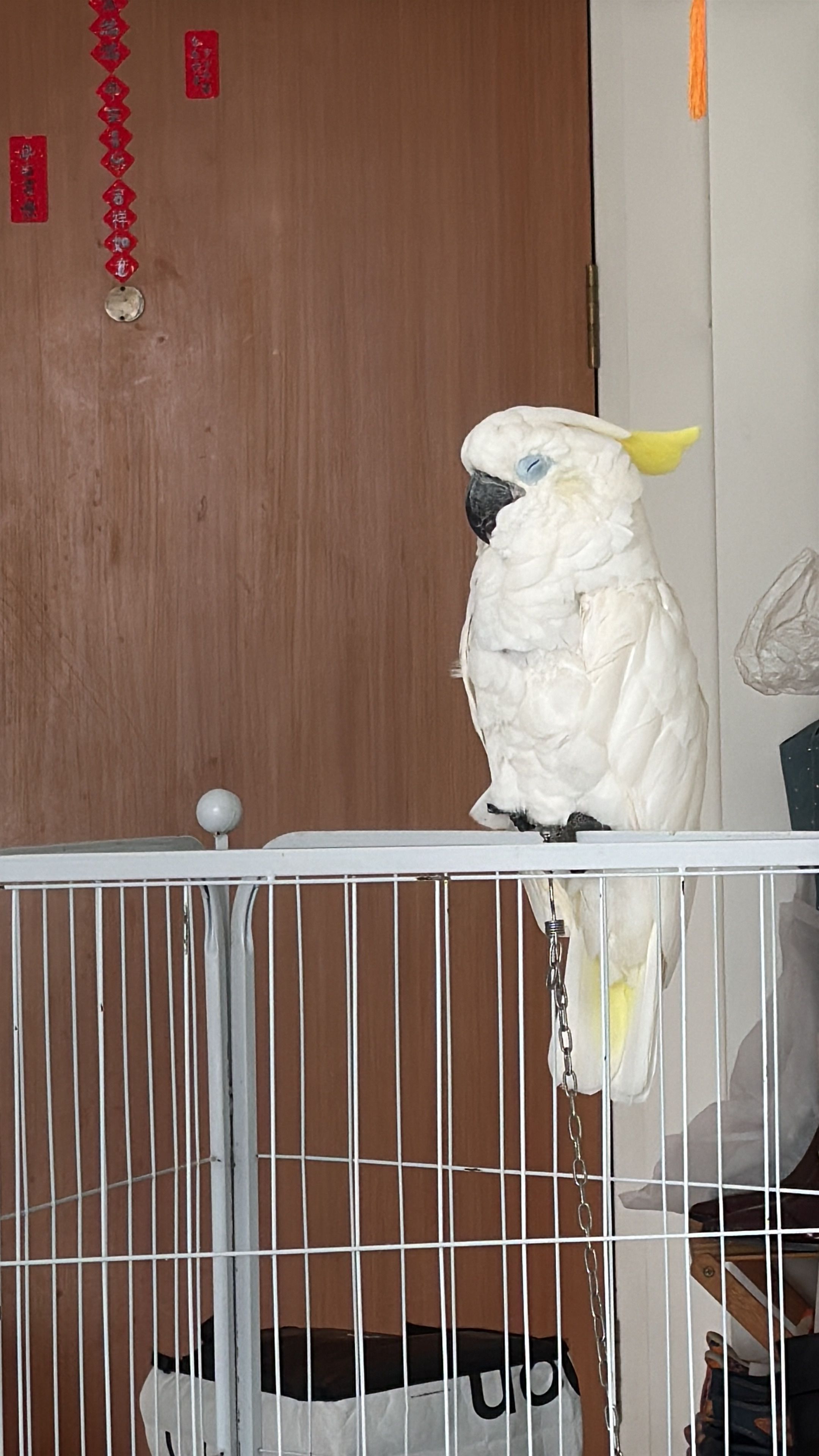 image-35