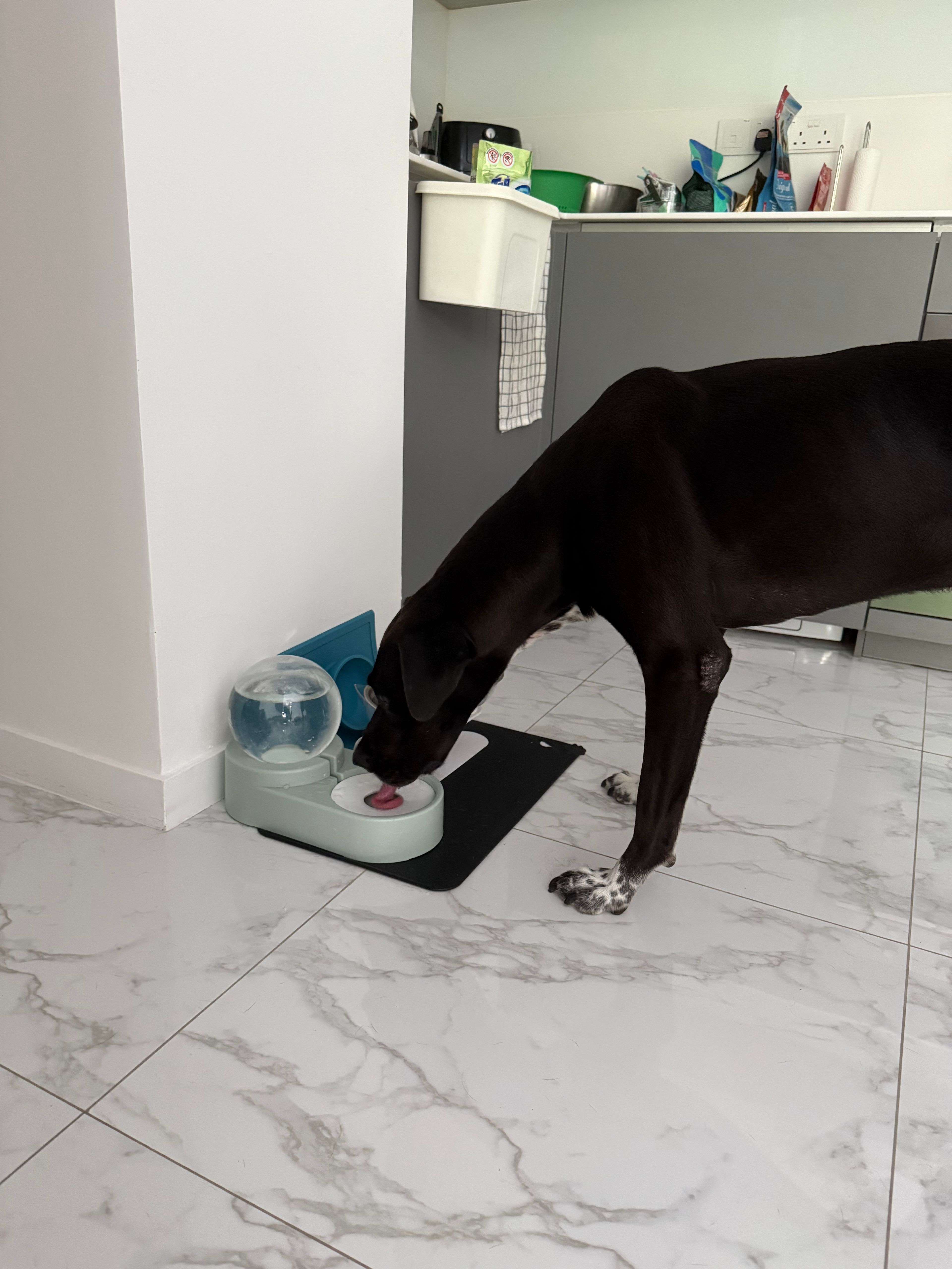 image-46
