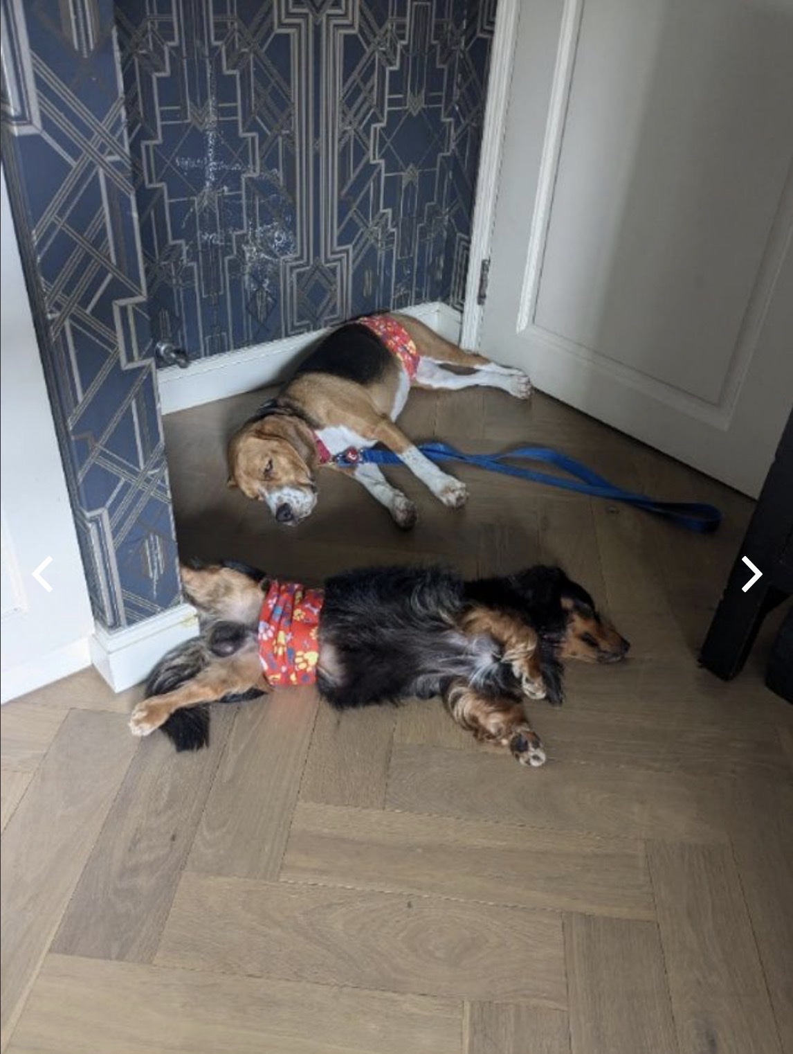 image-28