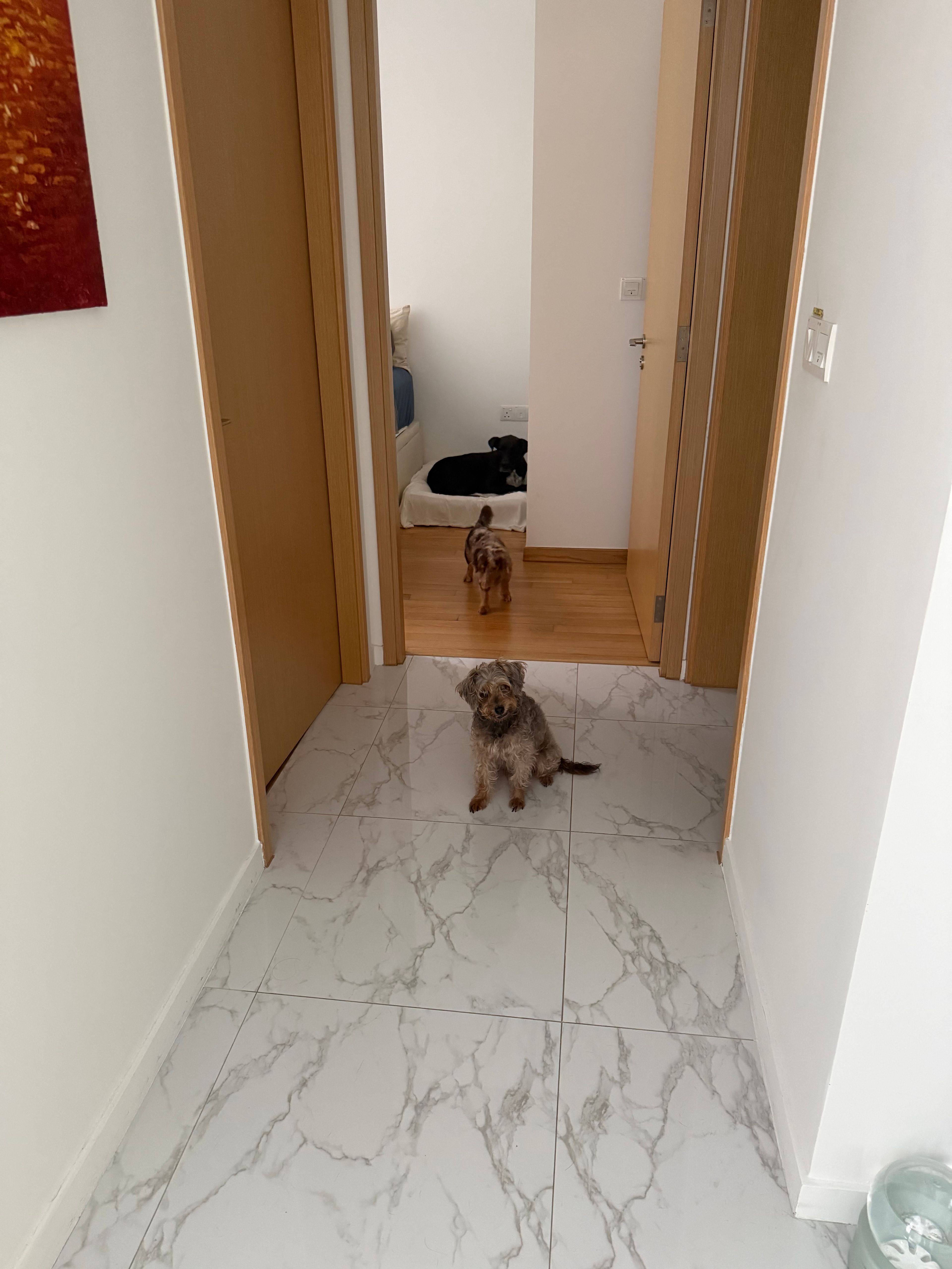 image-47