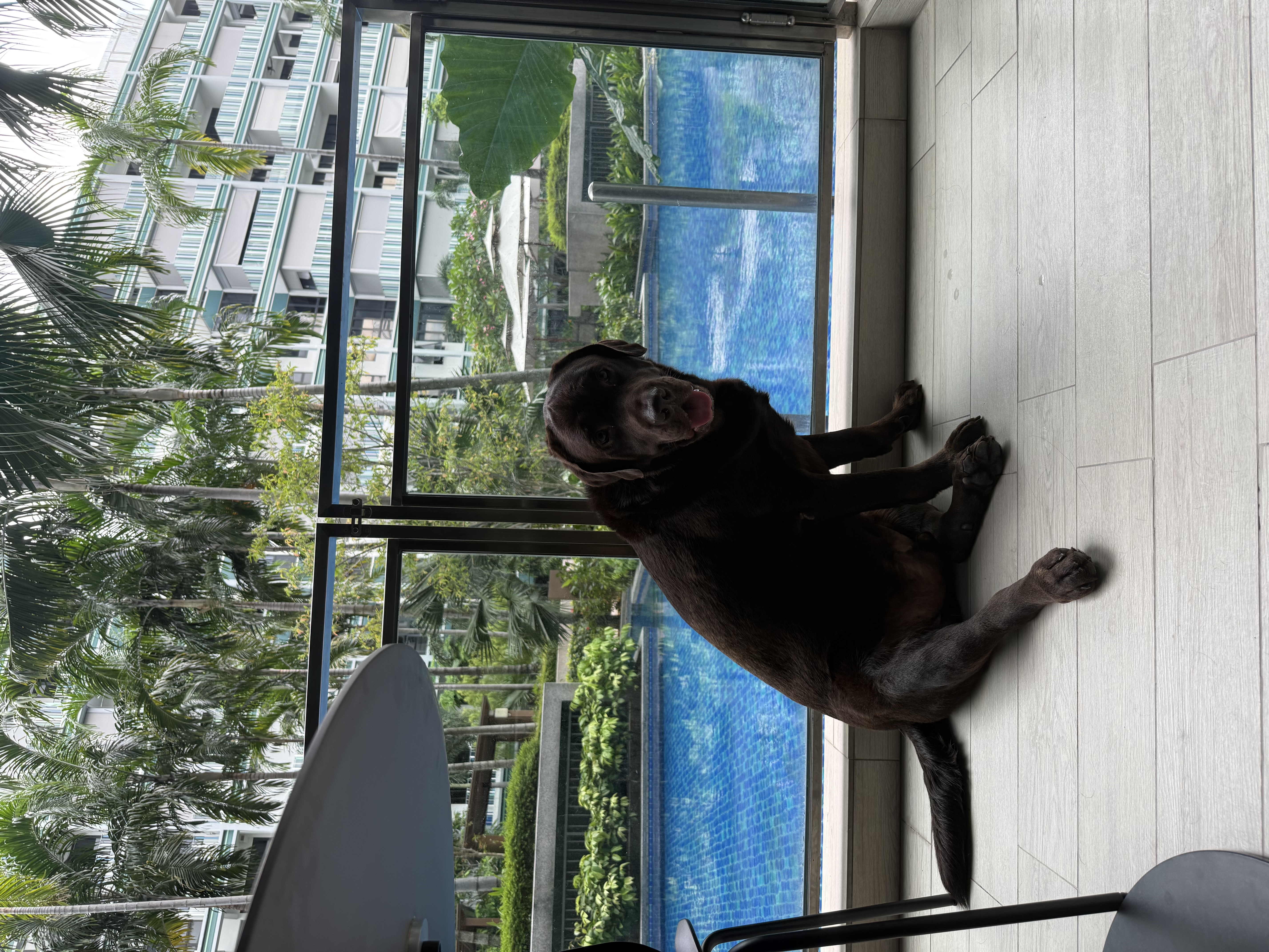 image-41