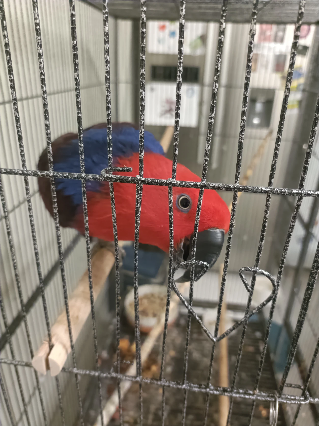 image-2