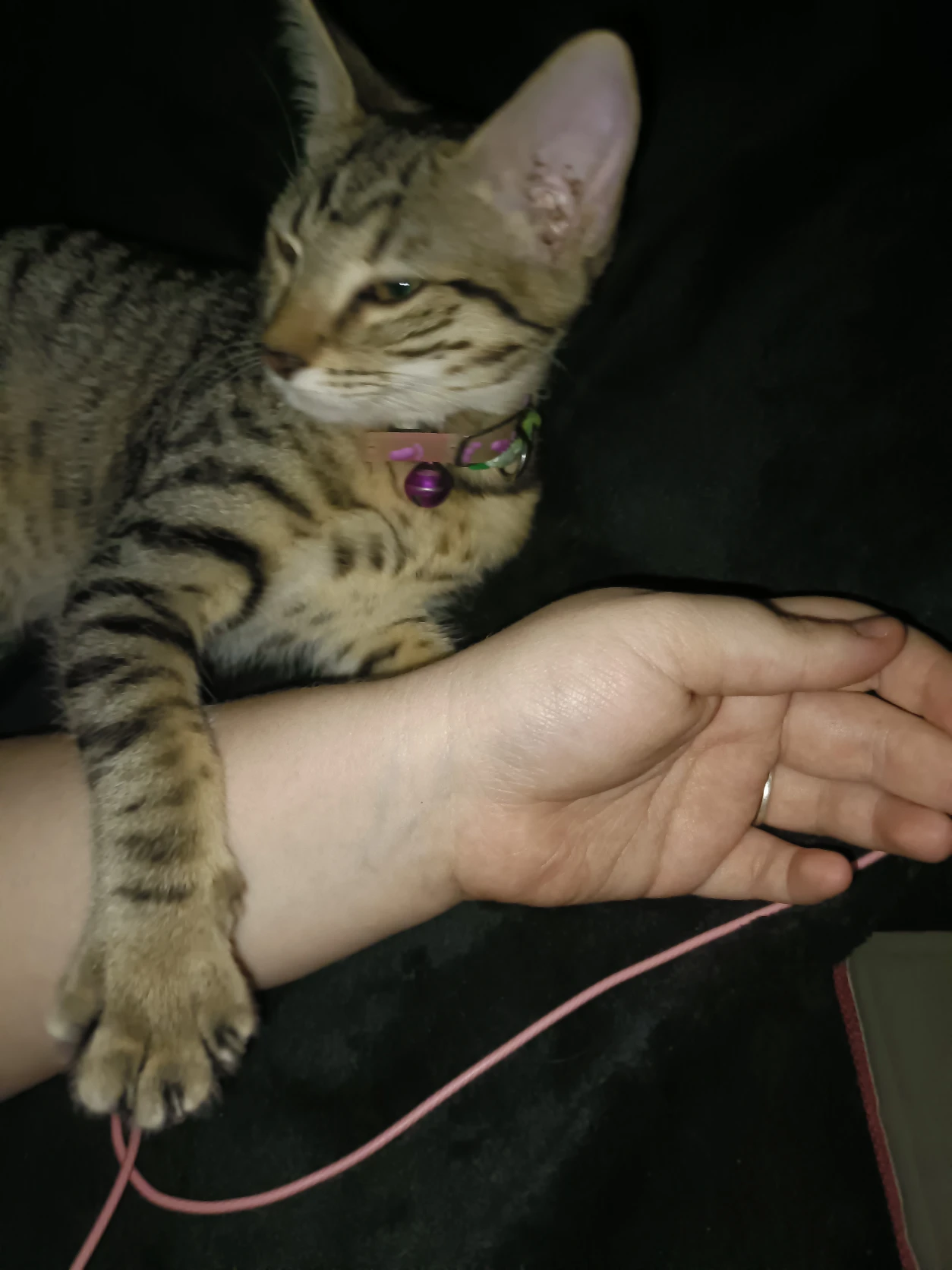 image-4