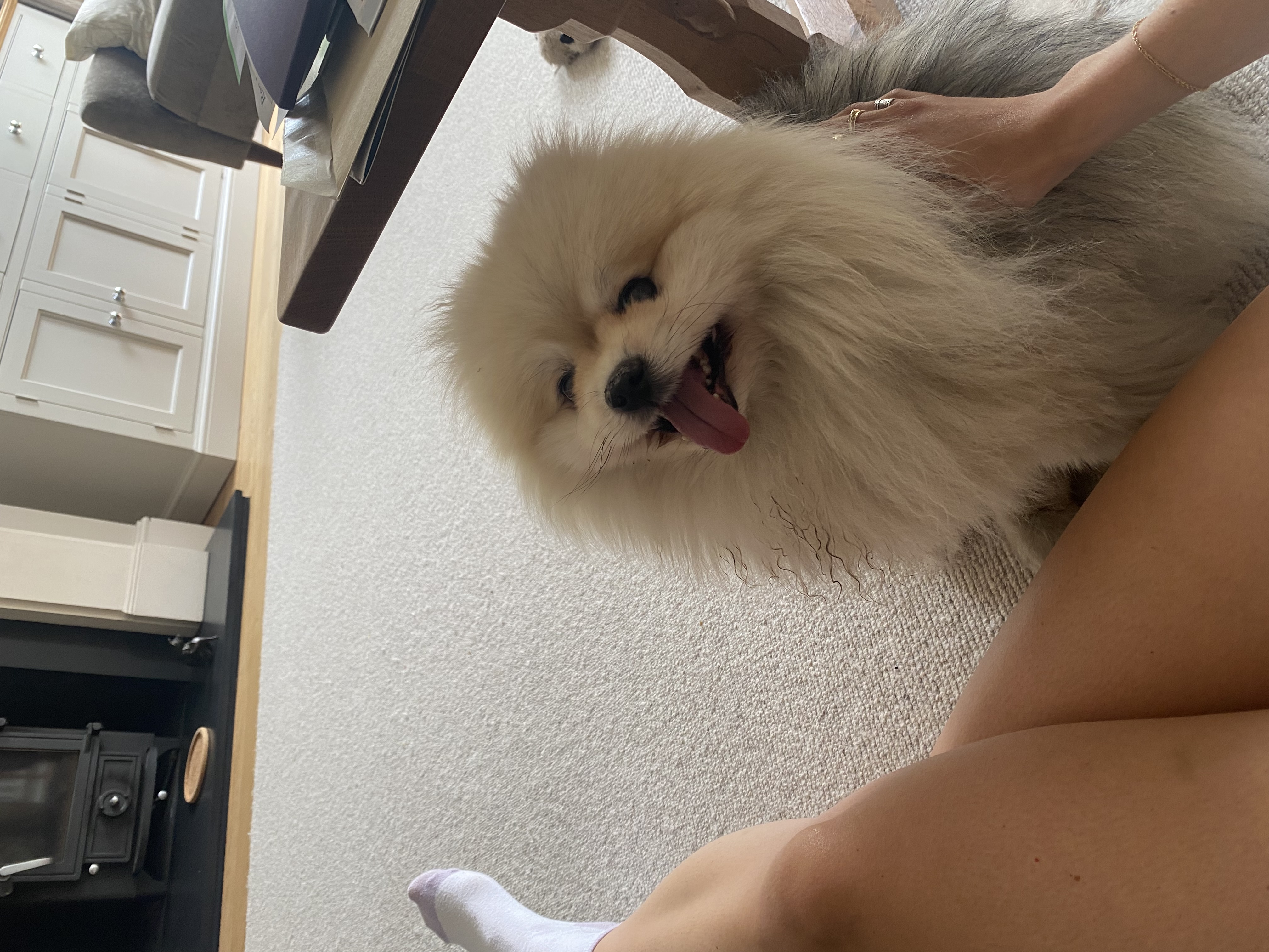 image-6