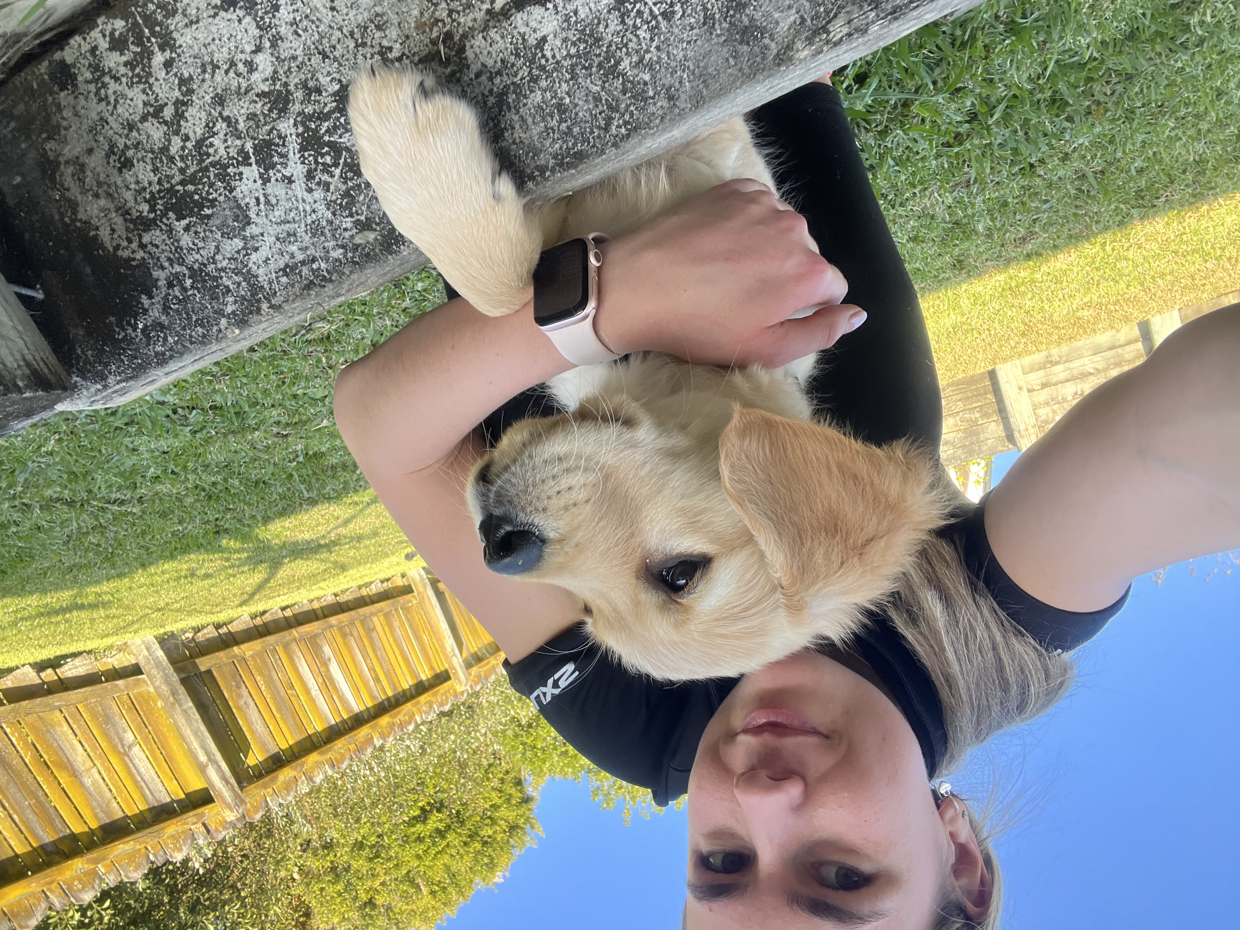 image-5