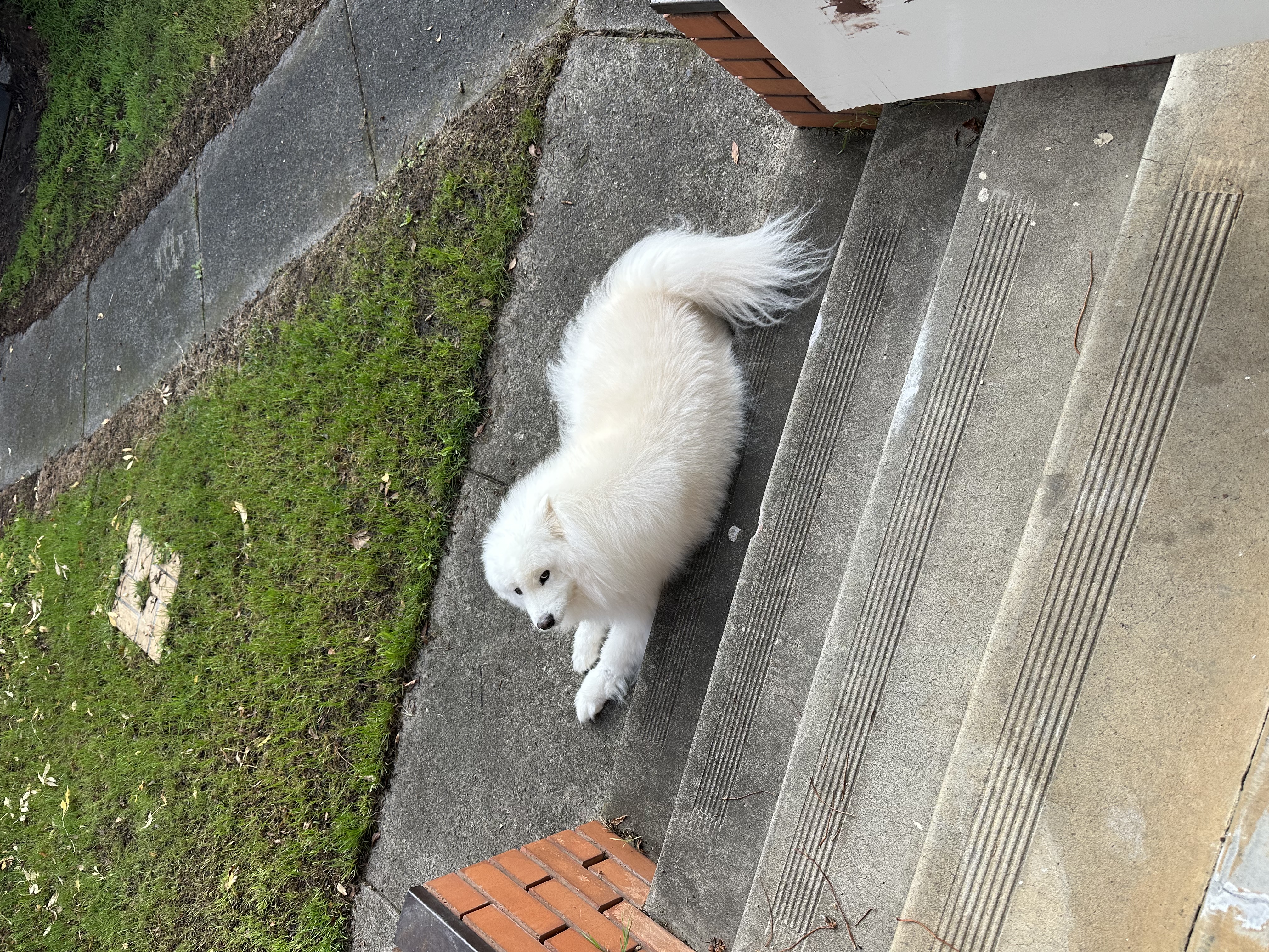 image-9