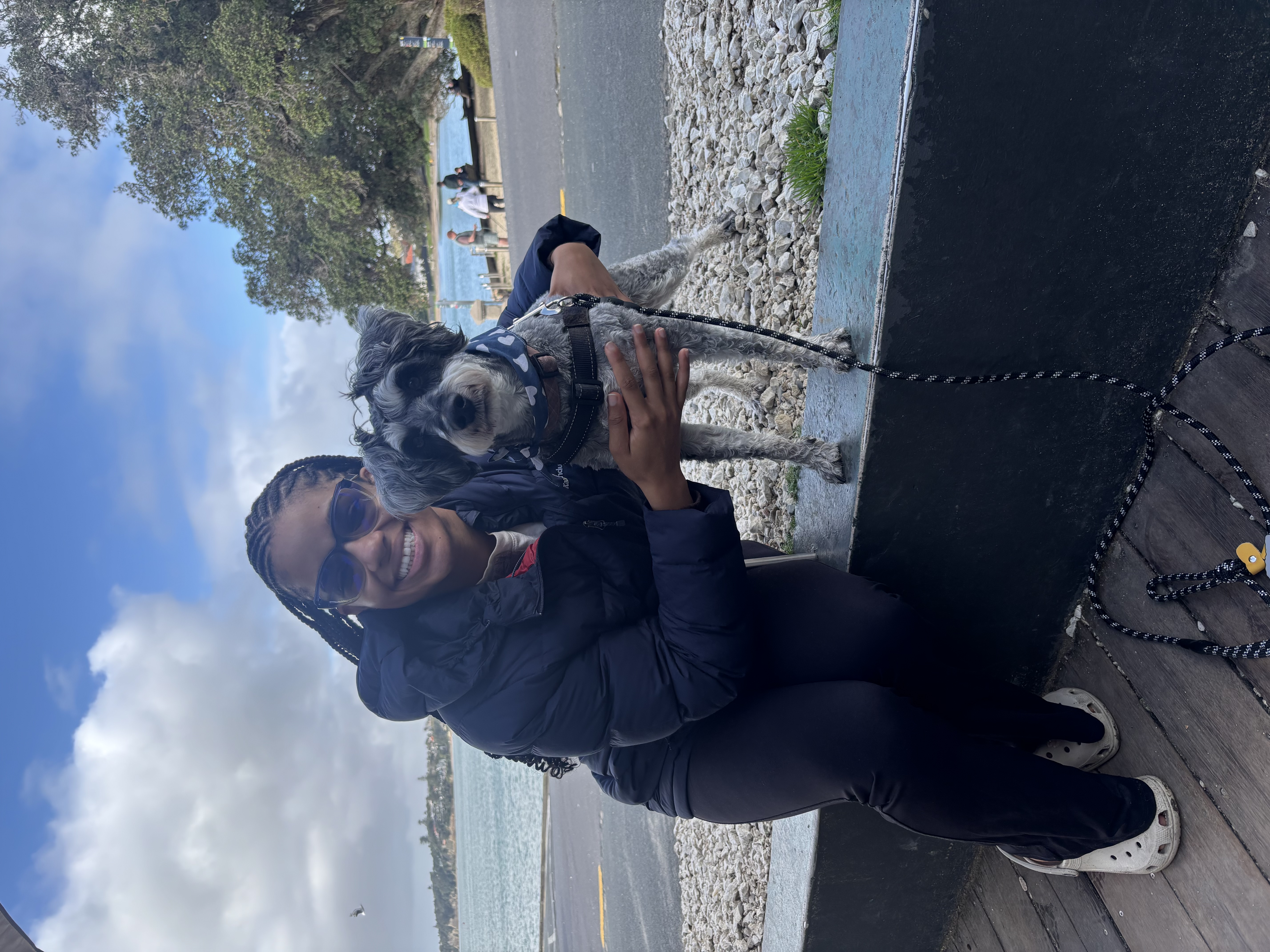 image-7