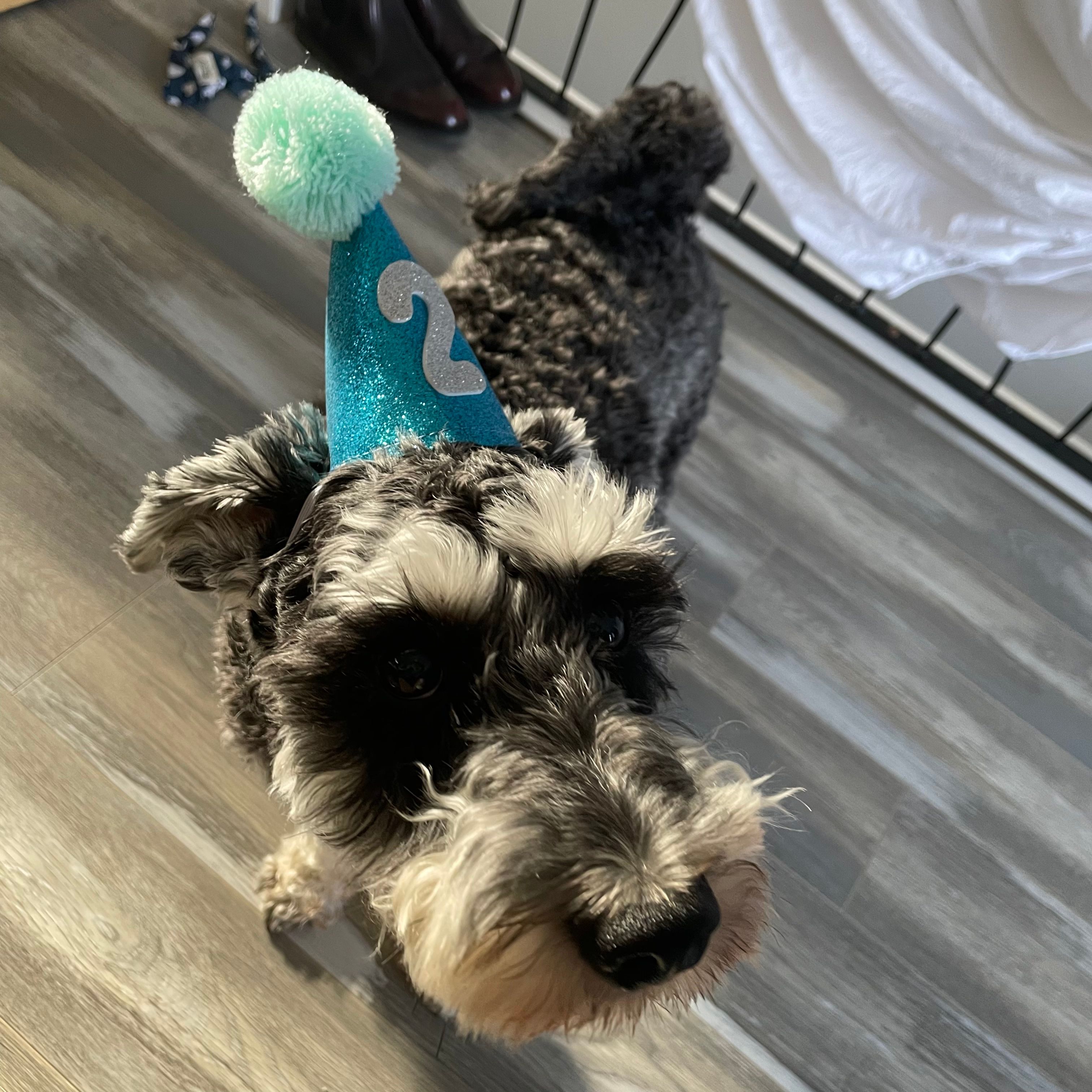 image-10