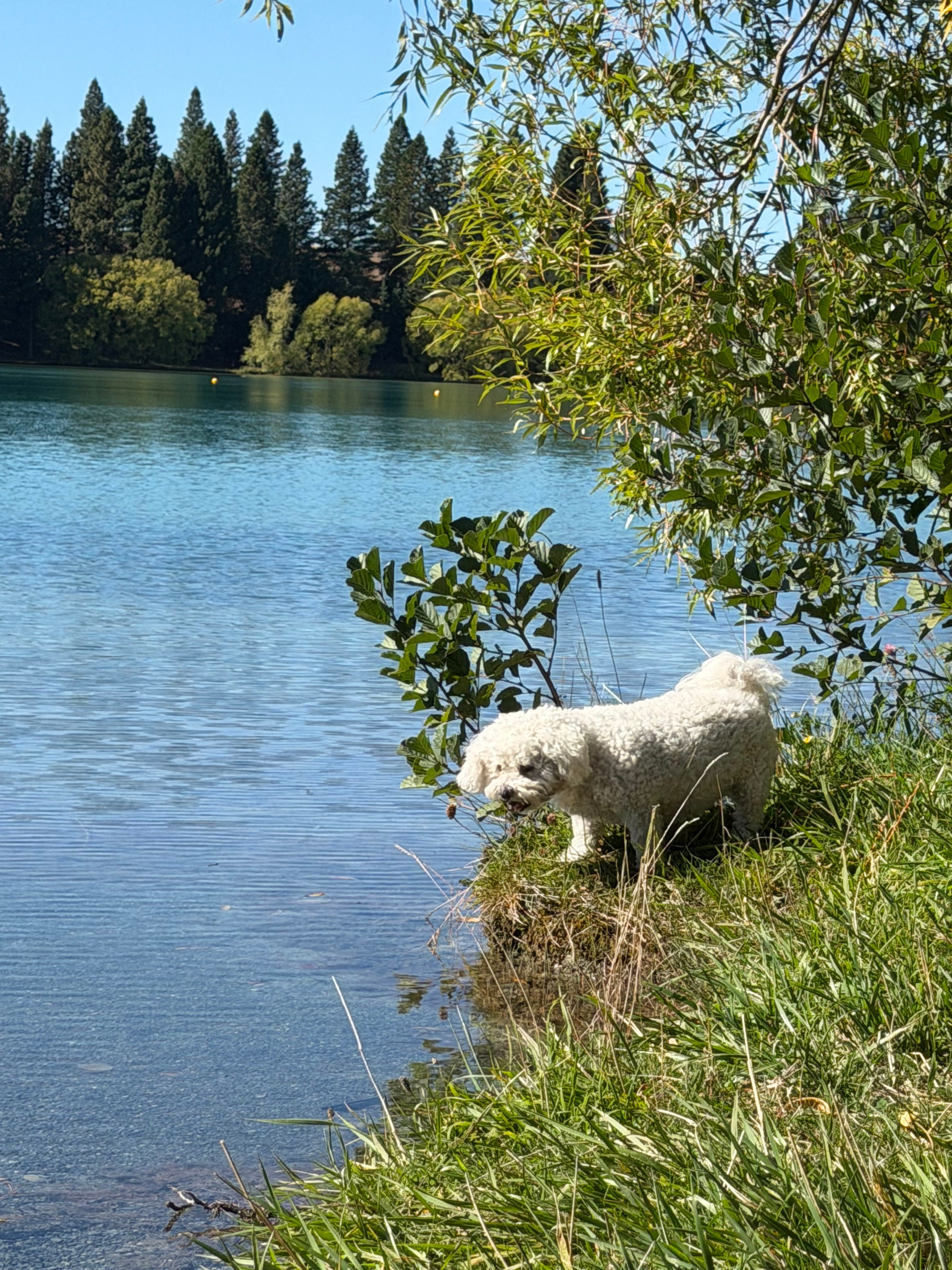 image-3