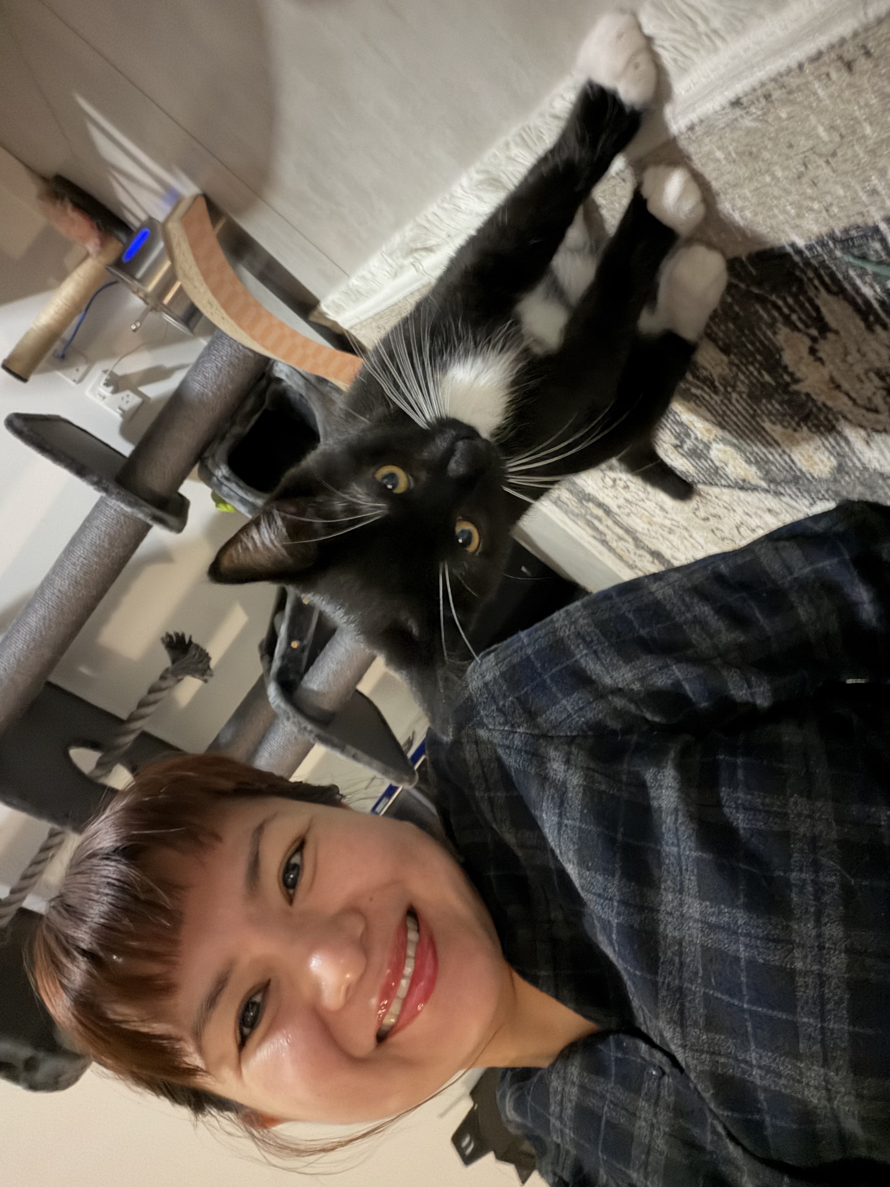 image-8