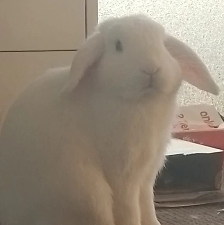 Casper