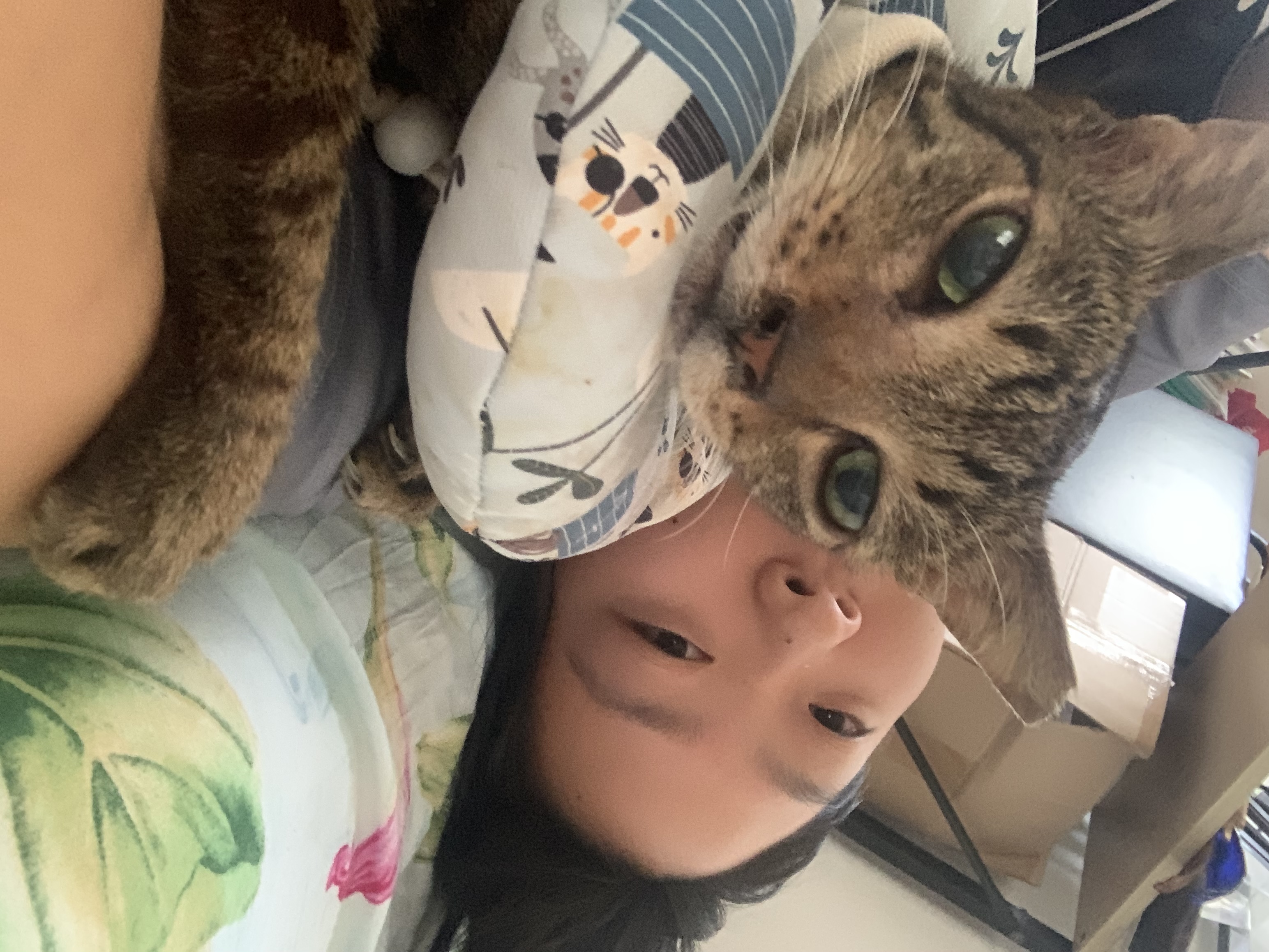 image-12