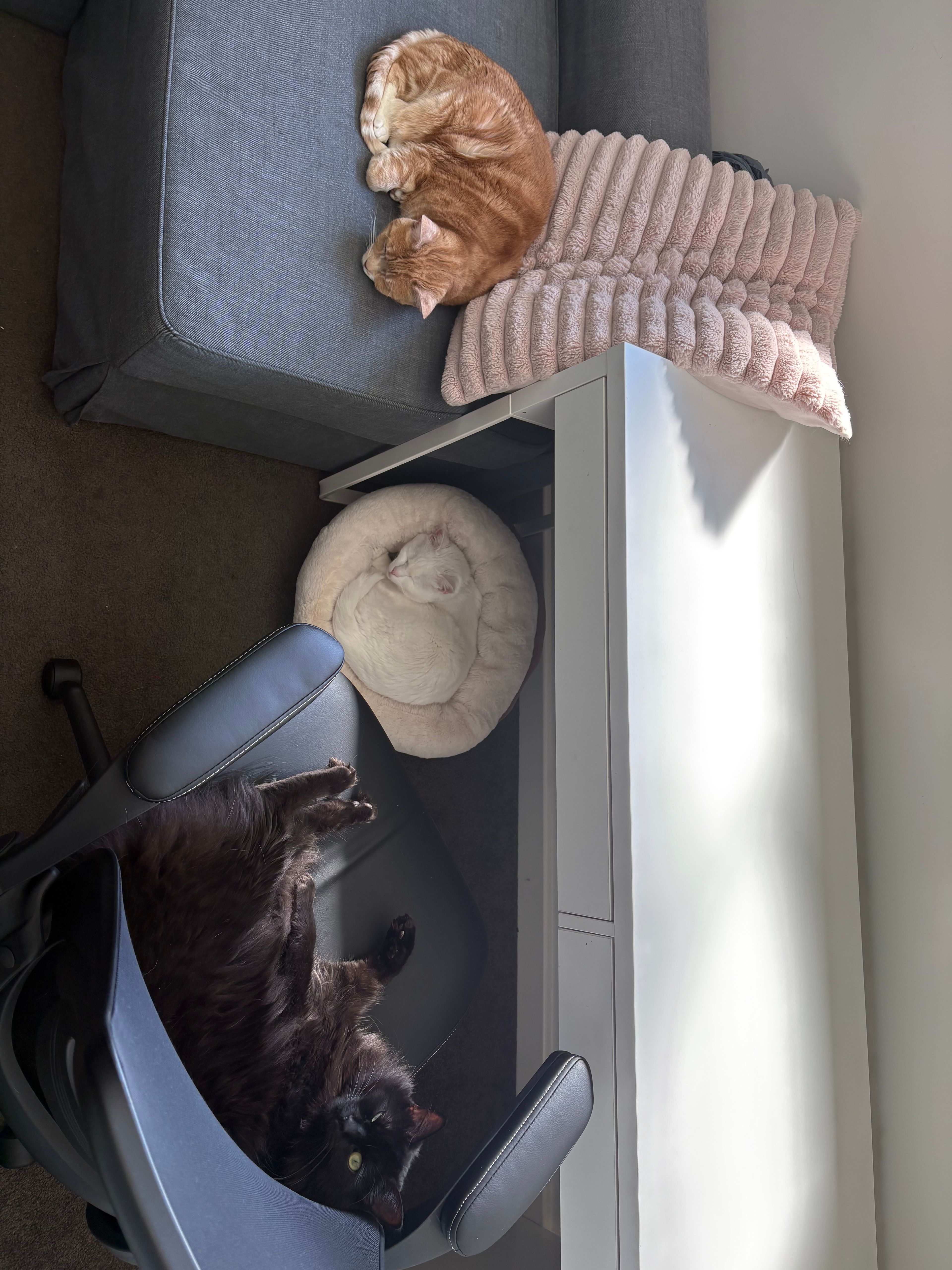 image-9