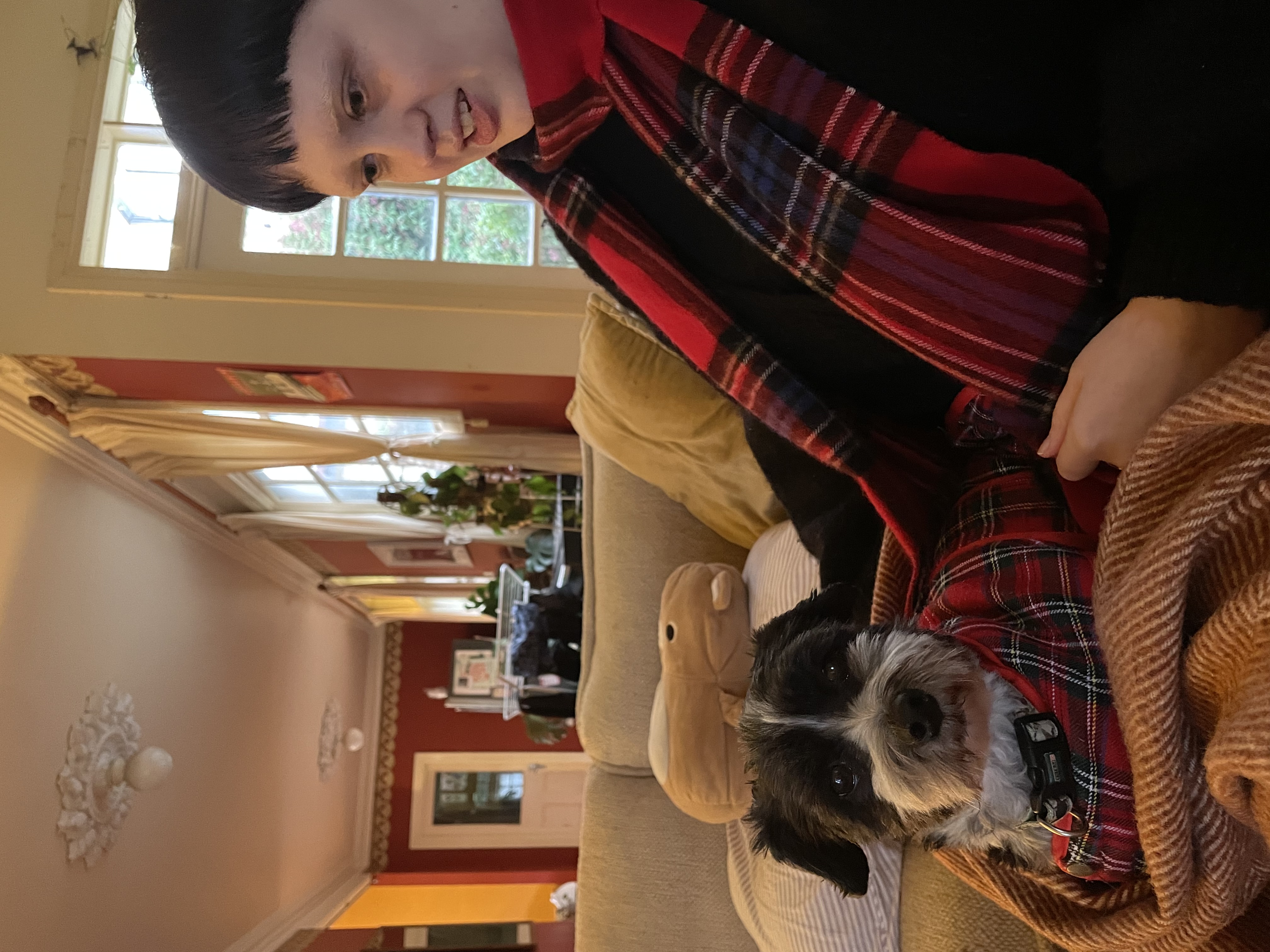 image-6