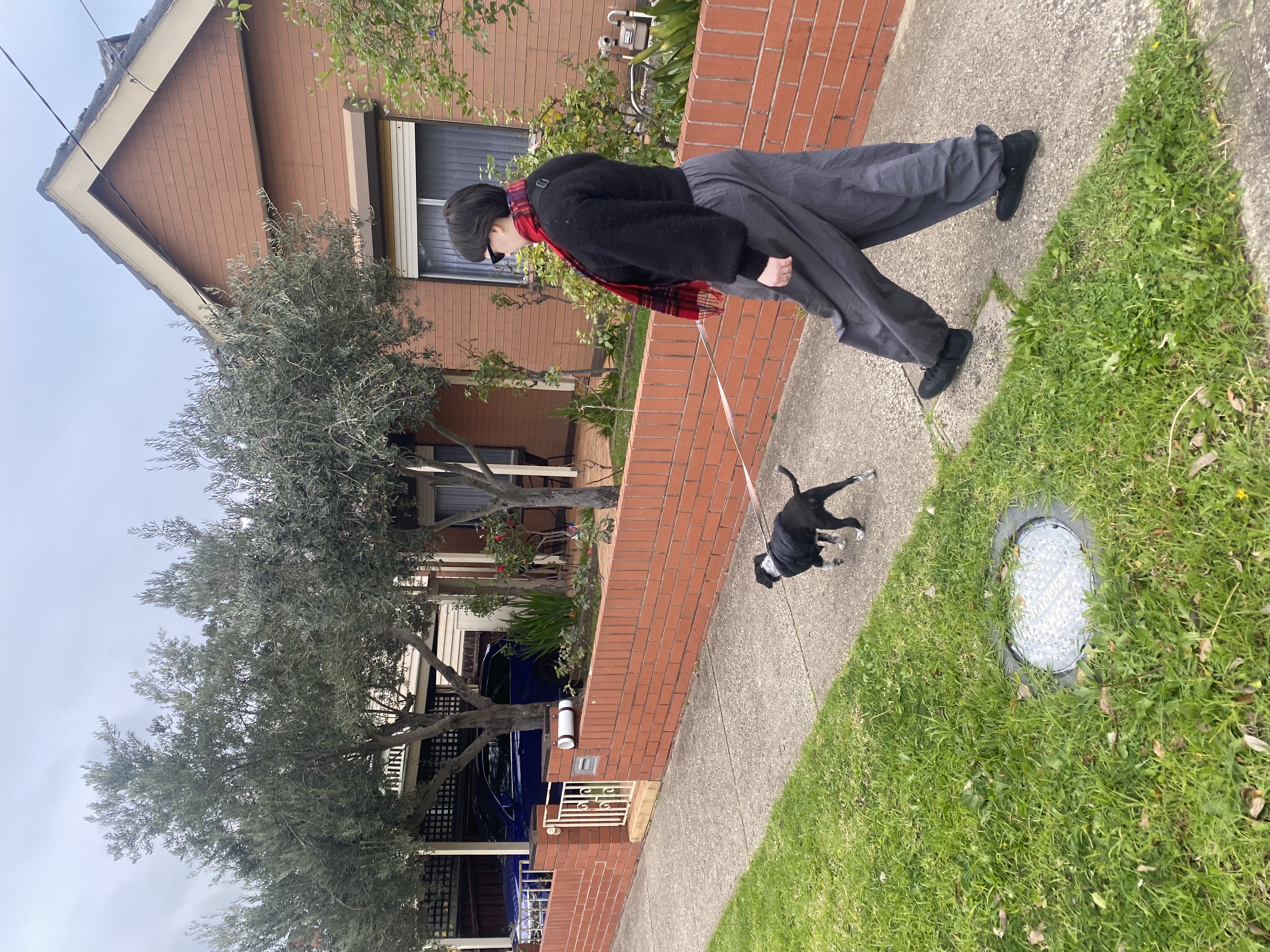 image-5