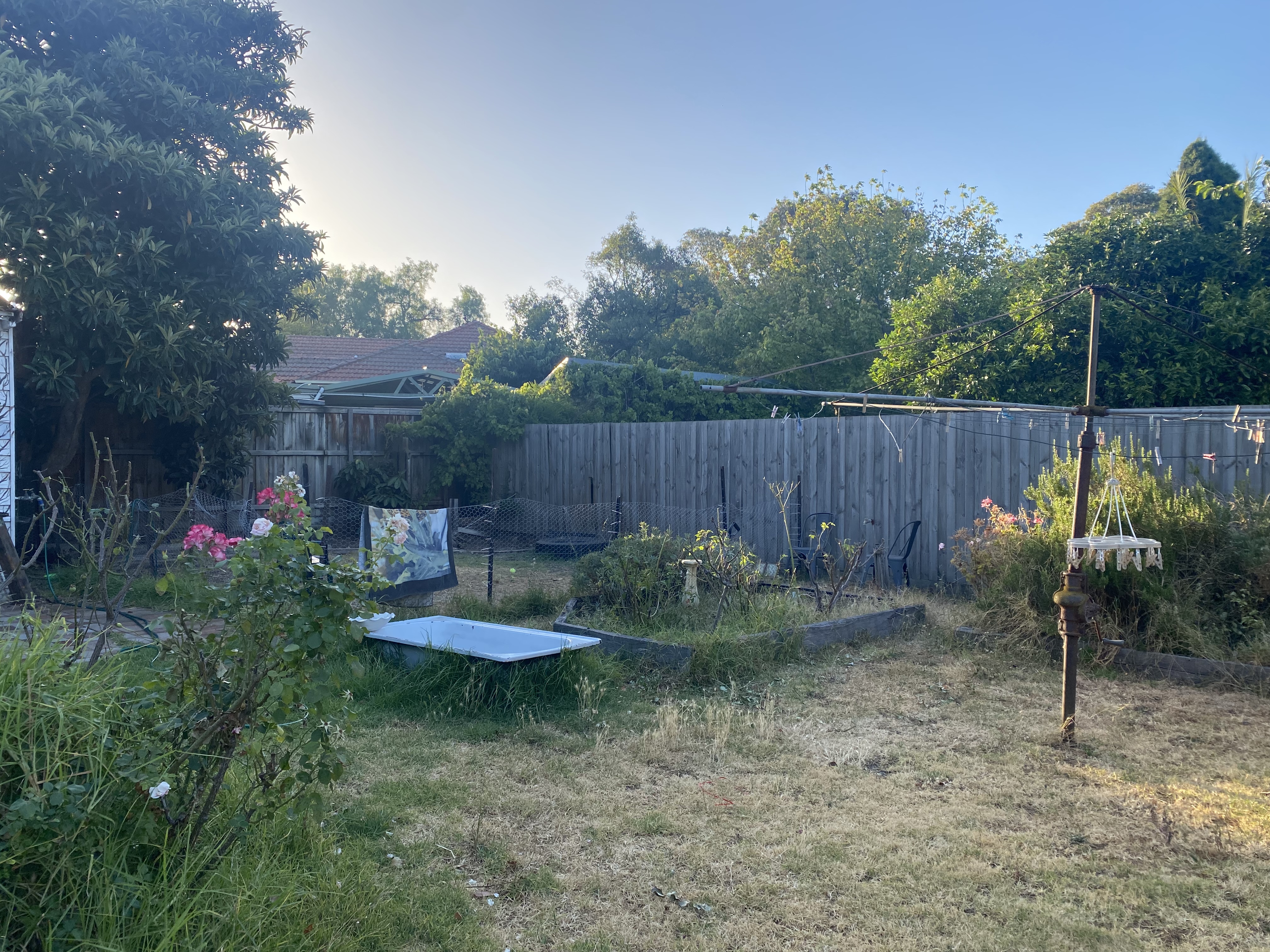 image-15