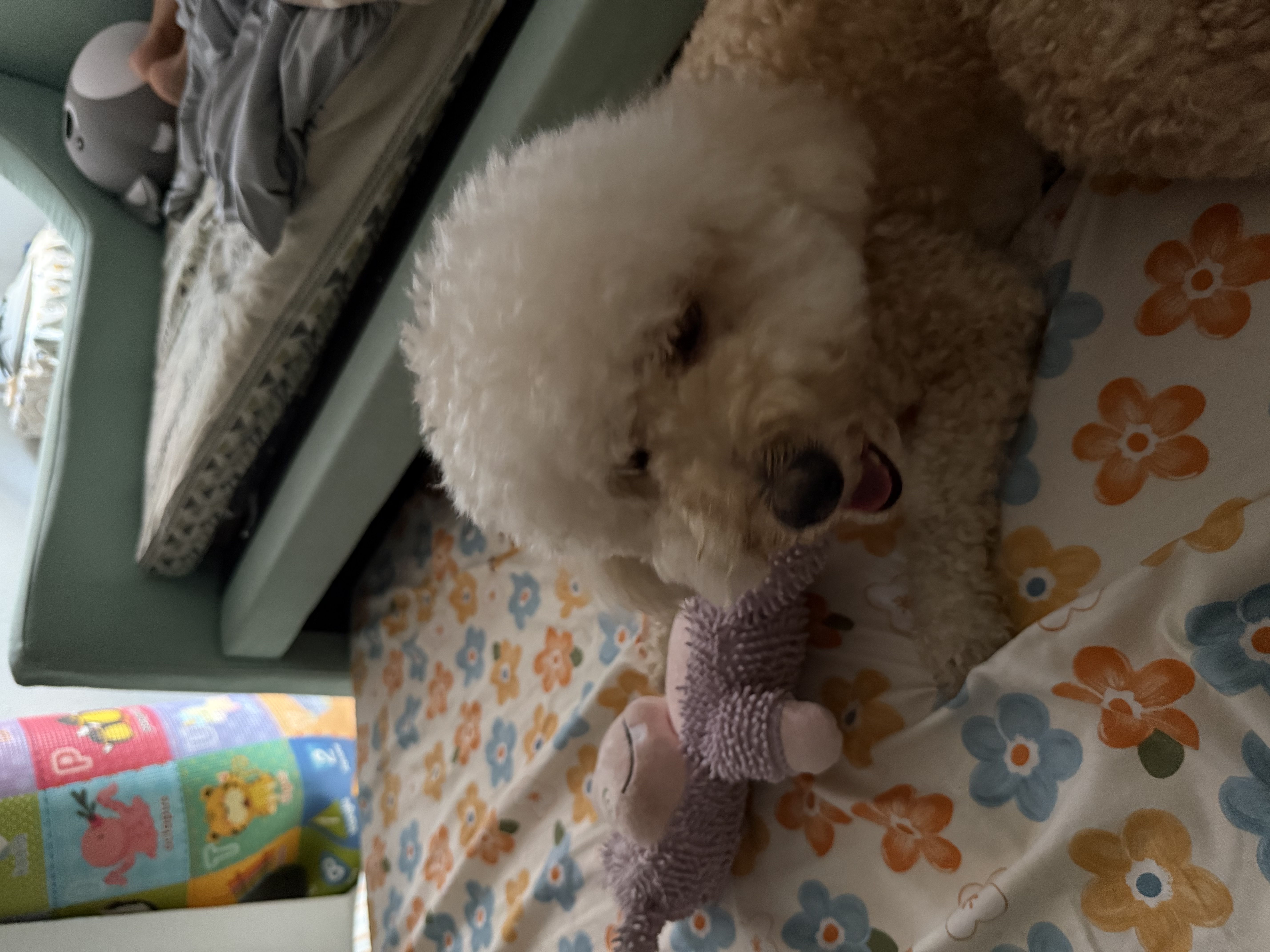 image-9
