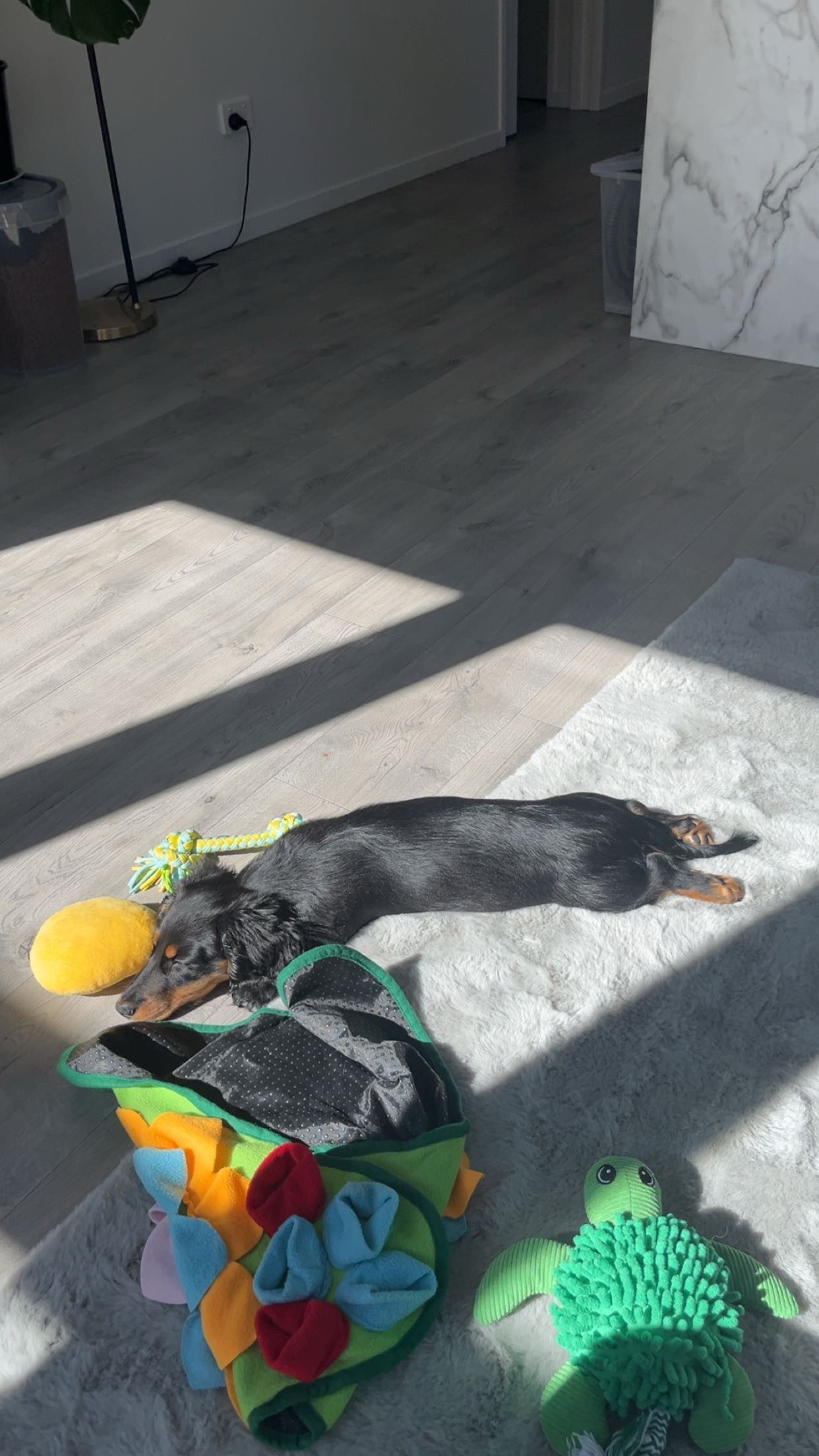 image-7