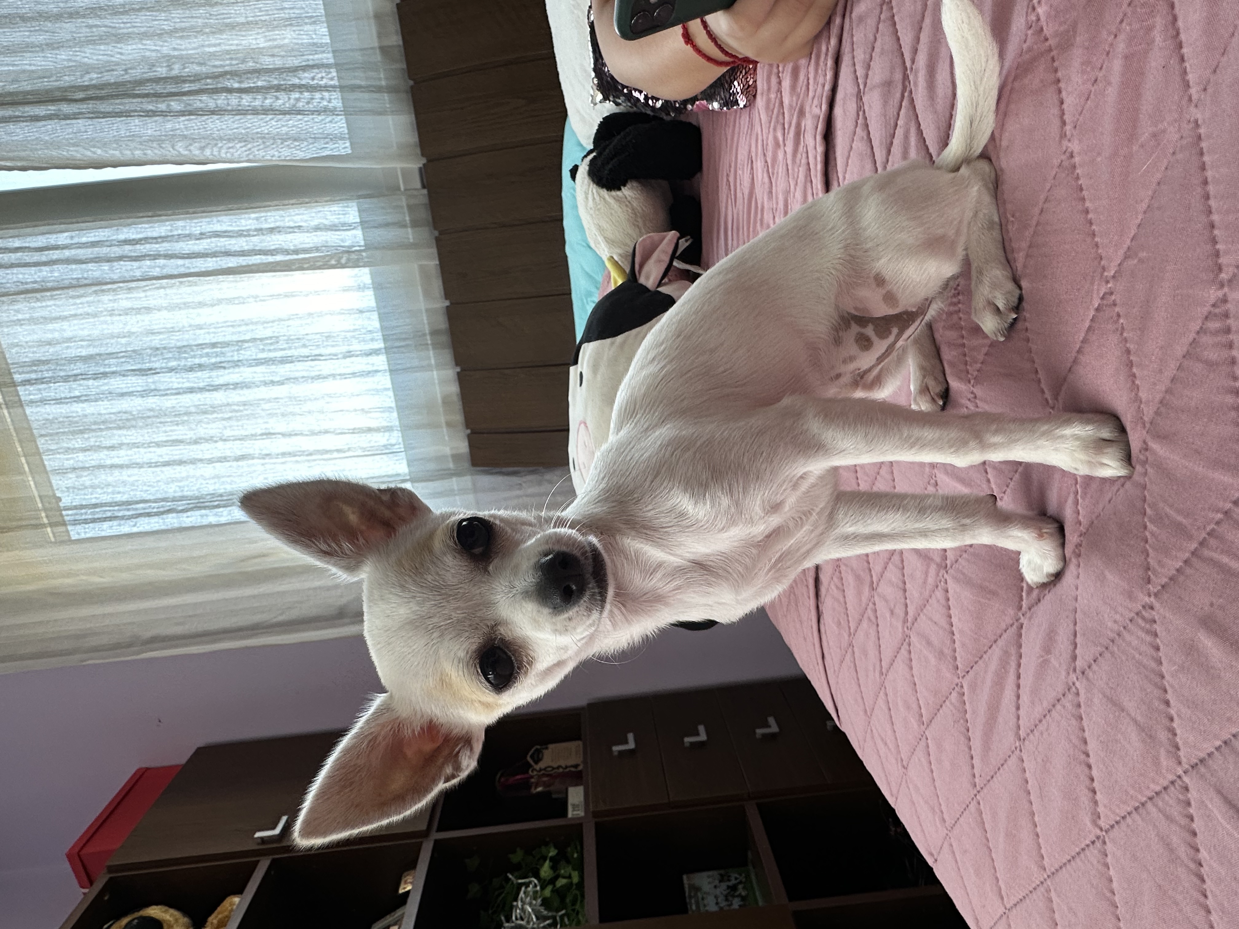 image-5