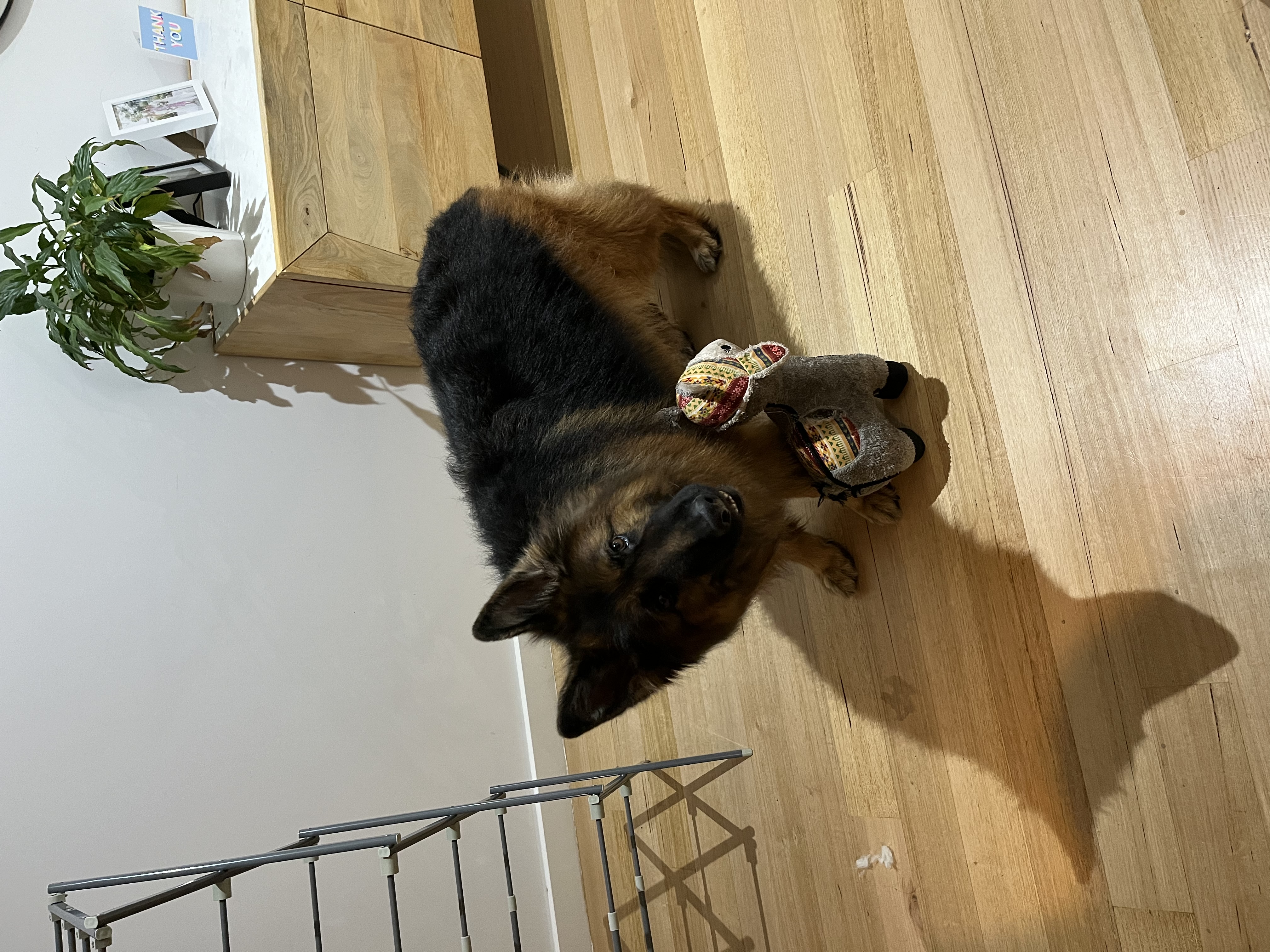 image-6