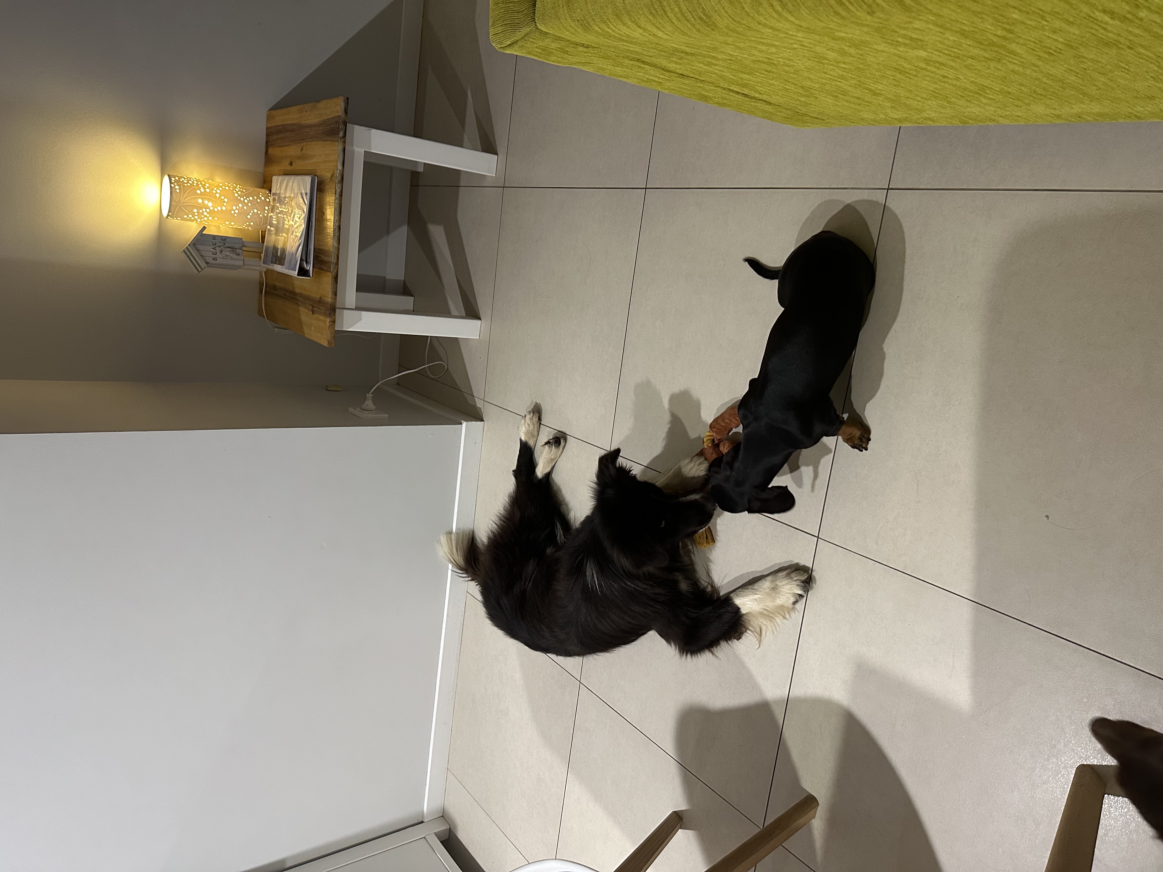 image-4