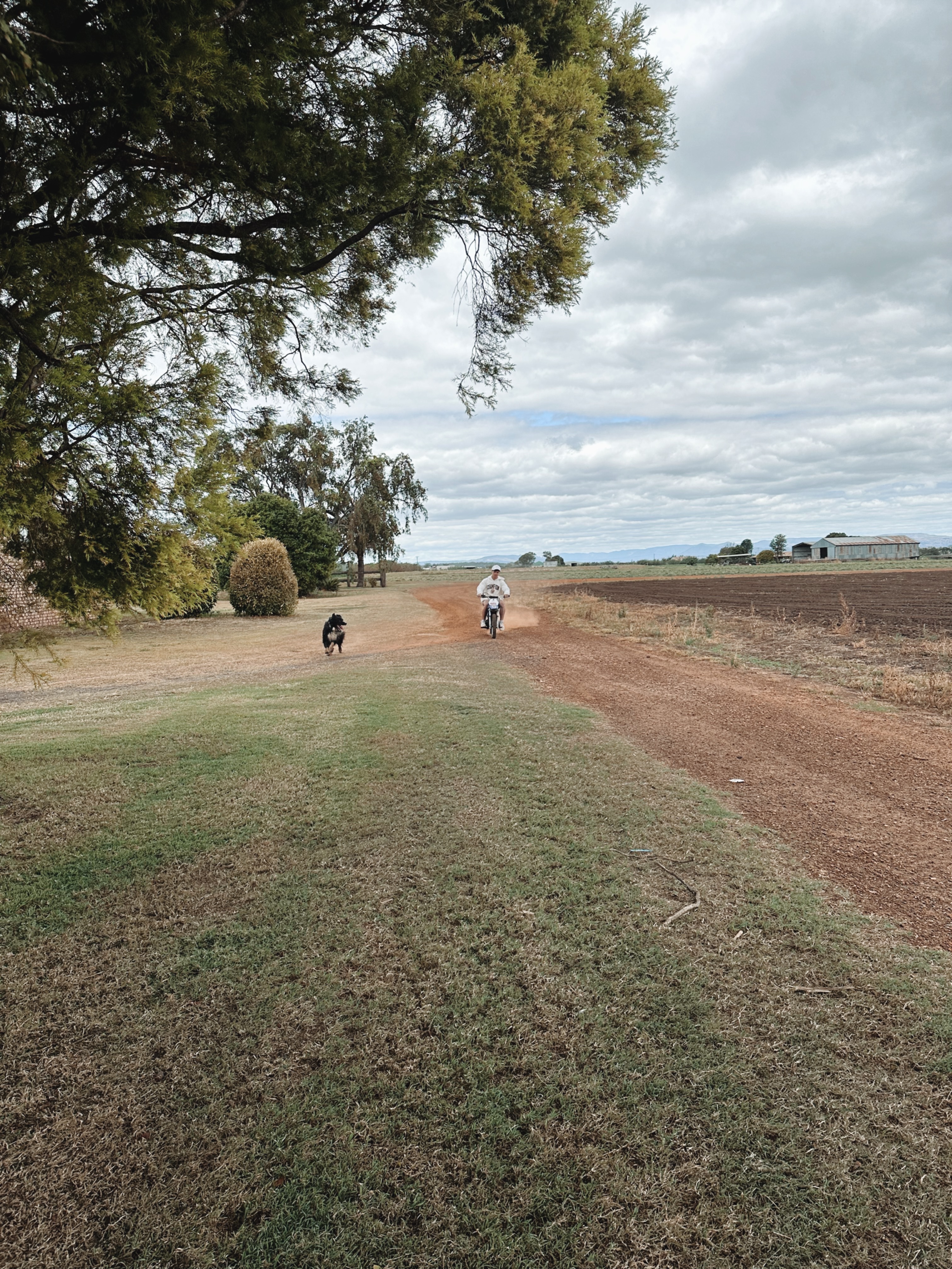 image-7