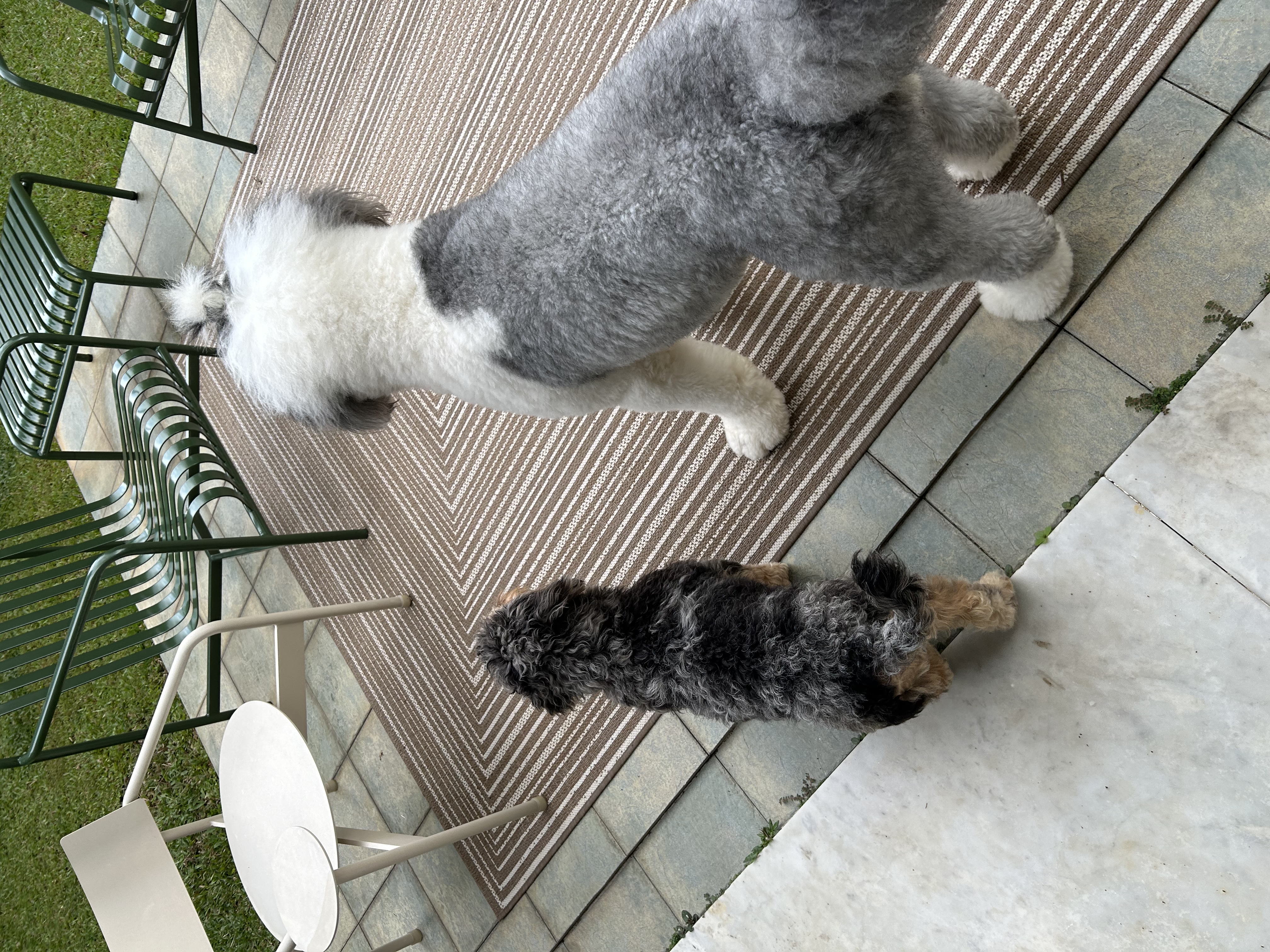image-9